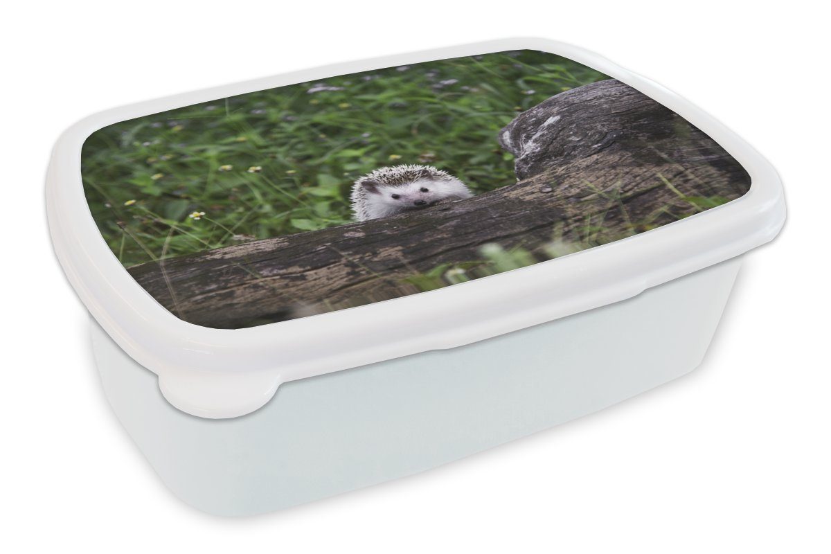 MuchoWow Lunchbox Igel - Baumstamm - Natur, Kunststoff, (2-tlg), Brotbox für Kinder und Erwachsene, Brotdose, für Jungs und Mädchen weiß