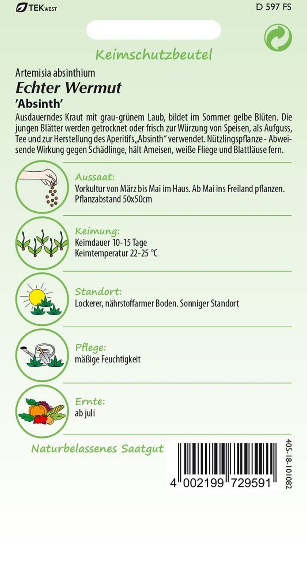 SAMEN PFANN Kräutersamen Echter Wermut (Absinth) - Kräuter-Samen Gewürz Saatgut Samen, Artemisia absinthium – Bild 2 von 2