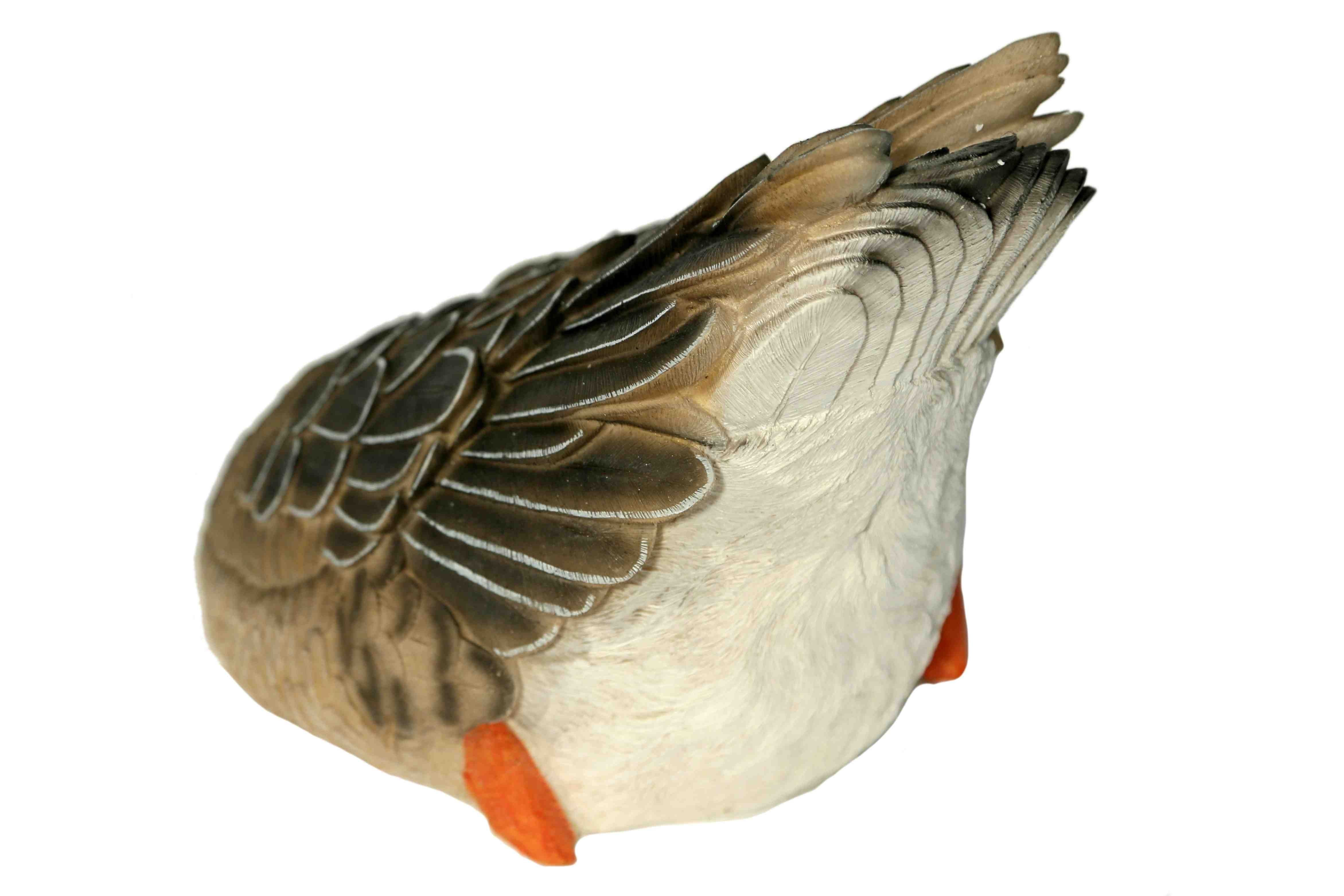 Casa Collection by Jänig Dekofigur Ente unter Wasser, schwimmend, Breite ca. 29cm, Tierfigur, Dekofigur, Ente