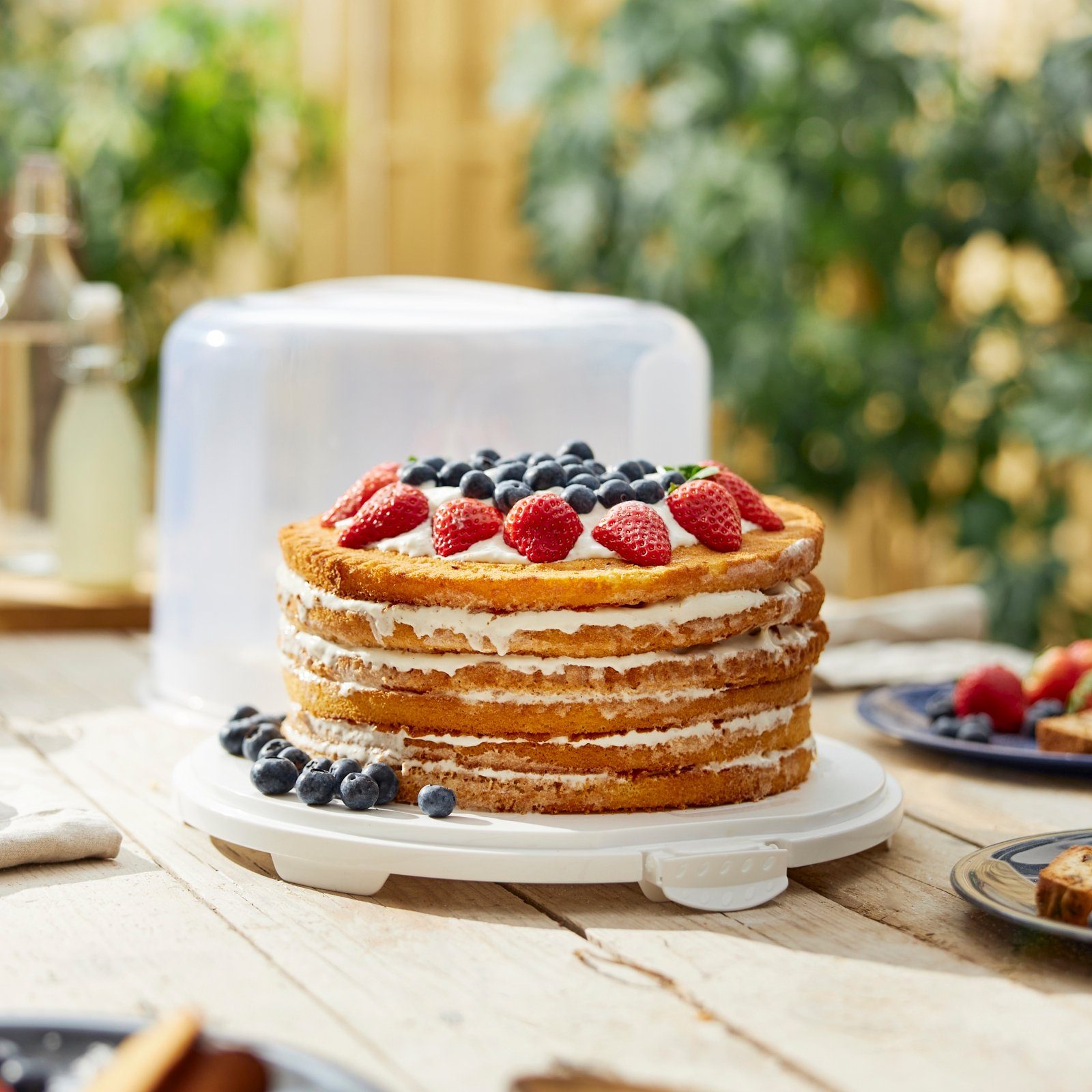 ROTHO Aufbewahrungssystem FRESH Kuchentransportbox XL, Kunststoff, Hergestellt in der Schweiz – Bild 2 von 4
