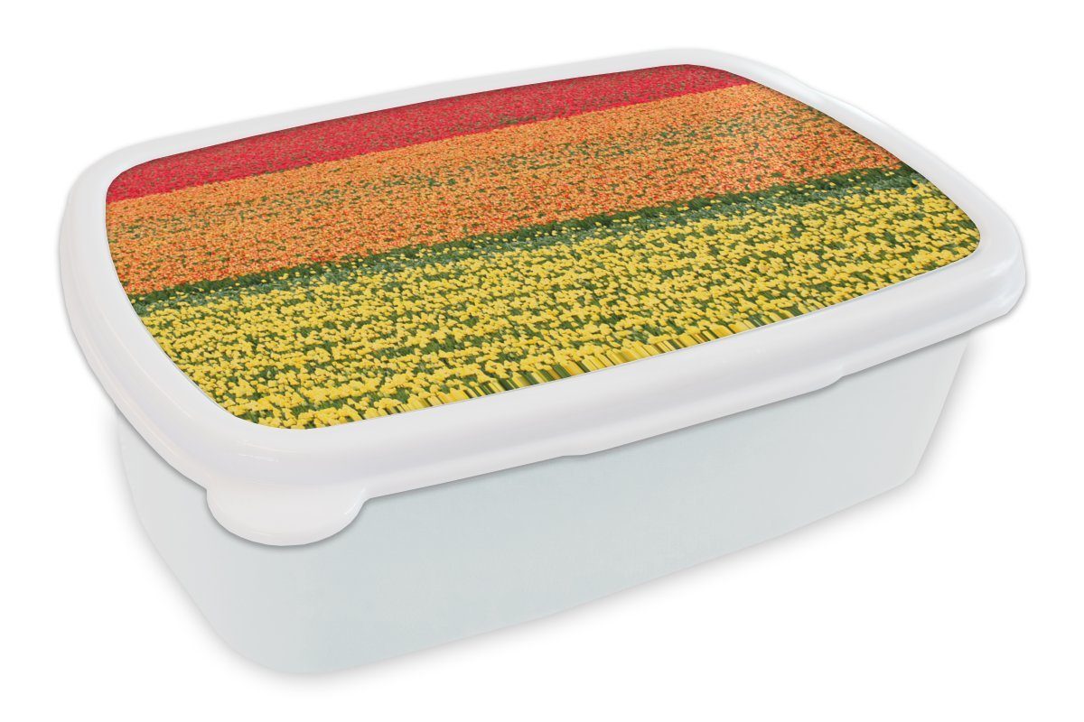 MuchoWow Lunchbox Tulpenfelder auf und Brotbox für Kinder den Erwachsene, Brotdose, Niederlanden, Jungs Mädchen für und Keukenhof weiß dem (2-tlg), in Kunststoff