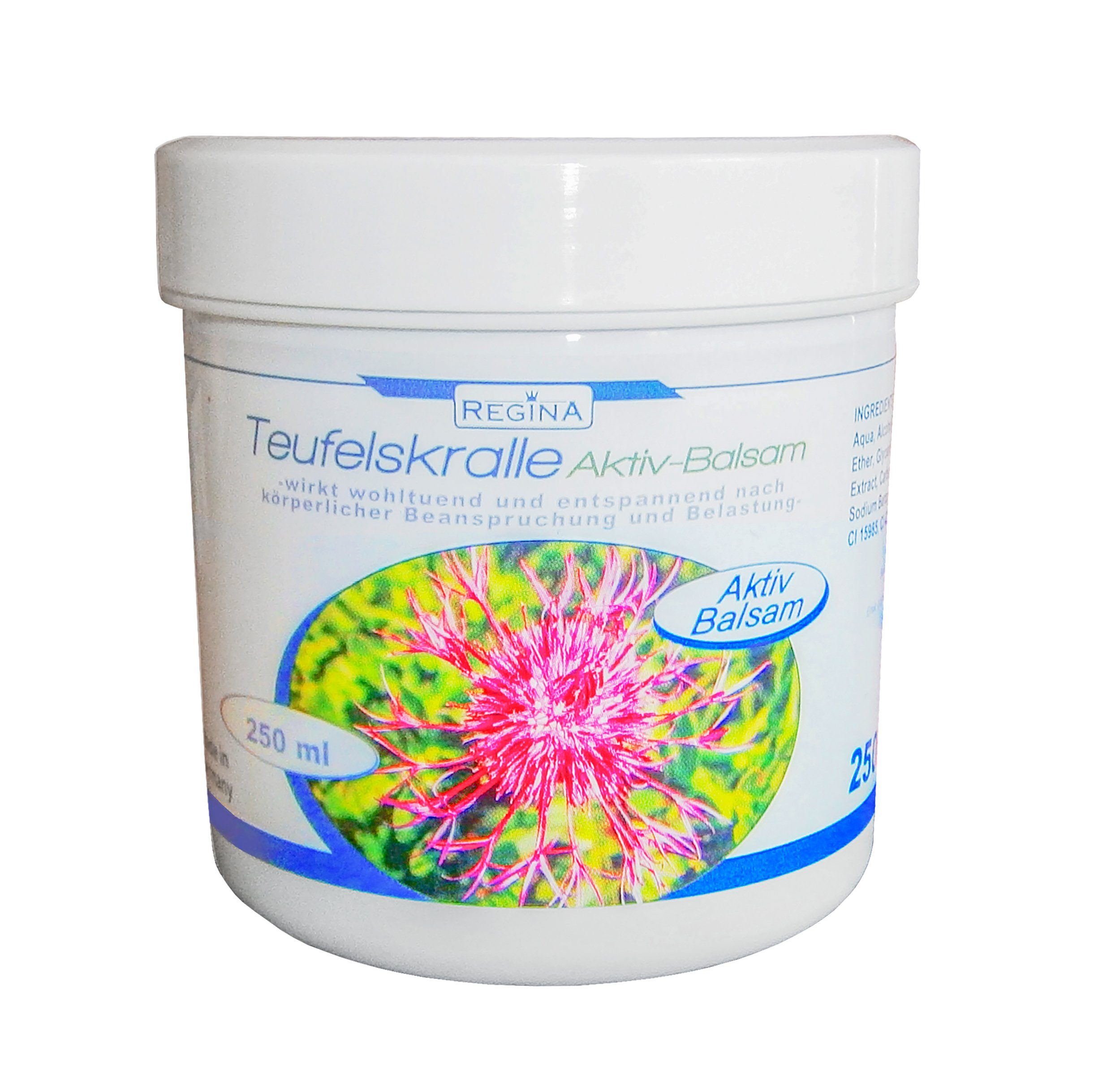 REGINA Körperbalsam Aktiv-Balsam mit Teufelskralle 250ml Körperbalsam Körpercreme 68, Massage Pflege entspannt Creme Salbe Gel