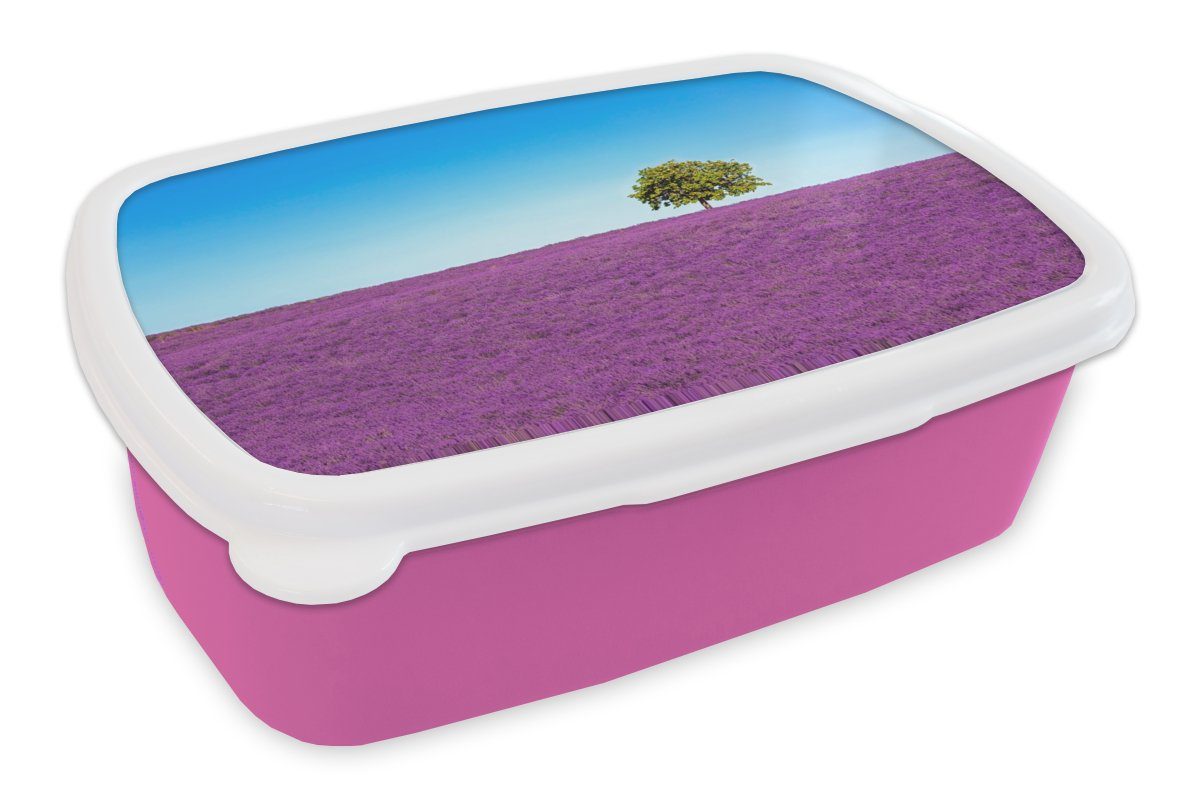 Lavendel, Brotdose Lila - Lunchbox Snackbox, - Kunststoff, rosa für MuchoWow Kunststoff Brotbox - Kinder, Himmel Baum Mädchen, Erwachsene, (2-tlg),