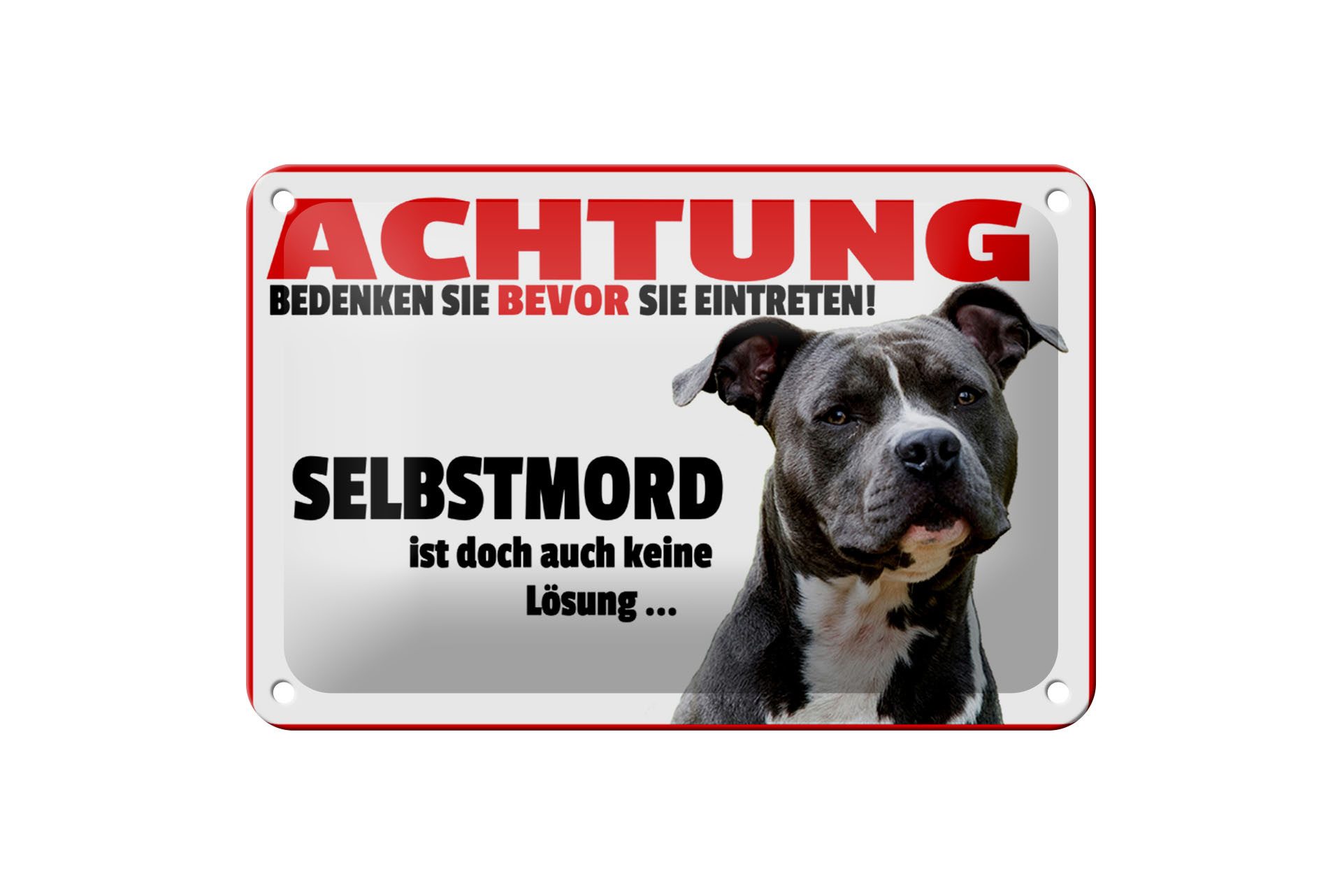 Femer GmbH Metallschild Hinweis 18x12cm Achtung bedenken eintreten Hund, (1 St), gewölbte Oberfläche, abgerundete Ecken, umgeschlagene Kanten