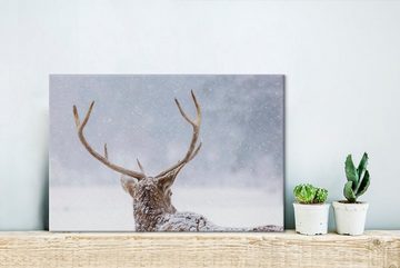 OneMillionCanvasses® Leinwandbild Hirsche - Geweihe - Schnee - Winter, (1 St), Wandbild Leinwandbilder, Aufhängefertig, Wanddeko, 30x20 cm