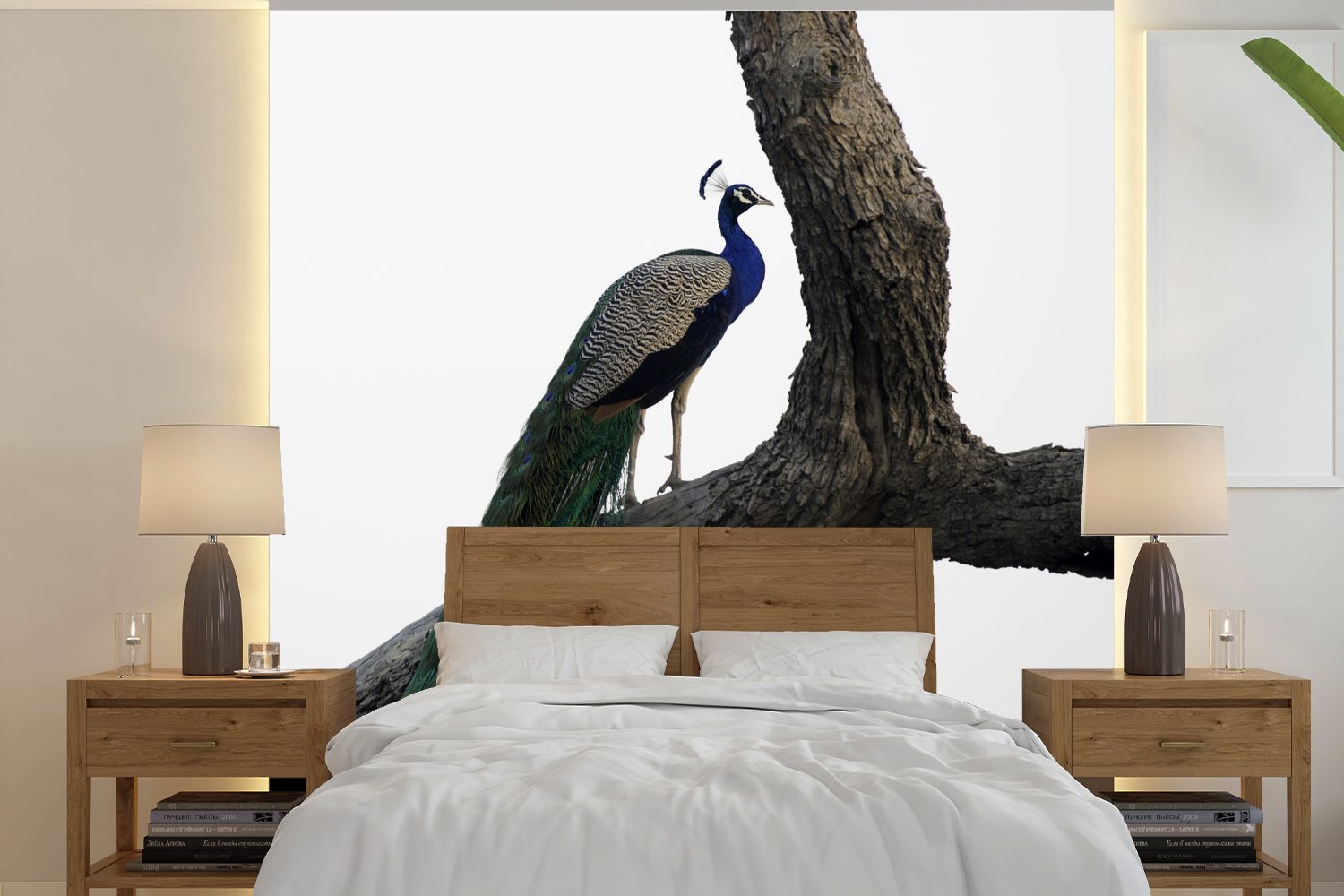 Matt, - Baum oder - Fototapete Pfau Blau, MuchoWow (5 Tapete St), für bedruckt, Vinyl Schlafzimmer, Wandtapete Wohnzimmer