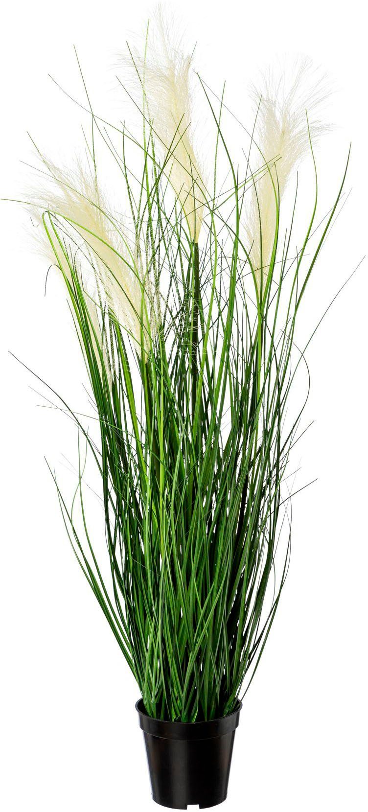 Kunstgras Pampasgras Gras, Creativ green, Höhe günstig online kaufen