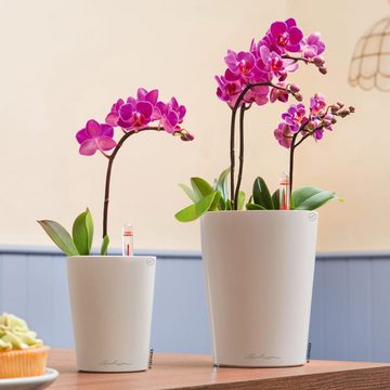 Lechuza® Blumentopf Pflanzgefäß MINI DELTINI ALL-IN-ONE Weiß (1 St)