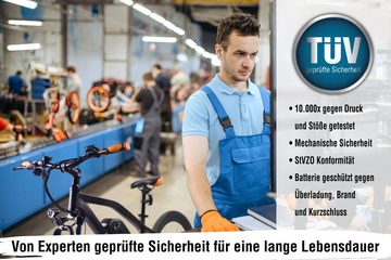 SachsenRAD E-Bike R6 Neo 29 Zoll, 7 Gang, Kettenschaltung, German Design Award 2022 „Excellent Product Design“