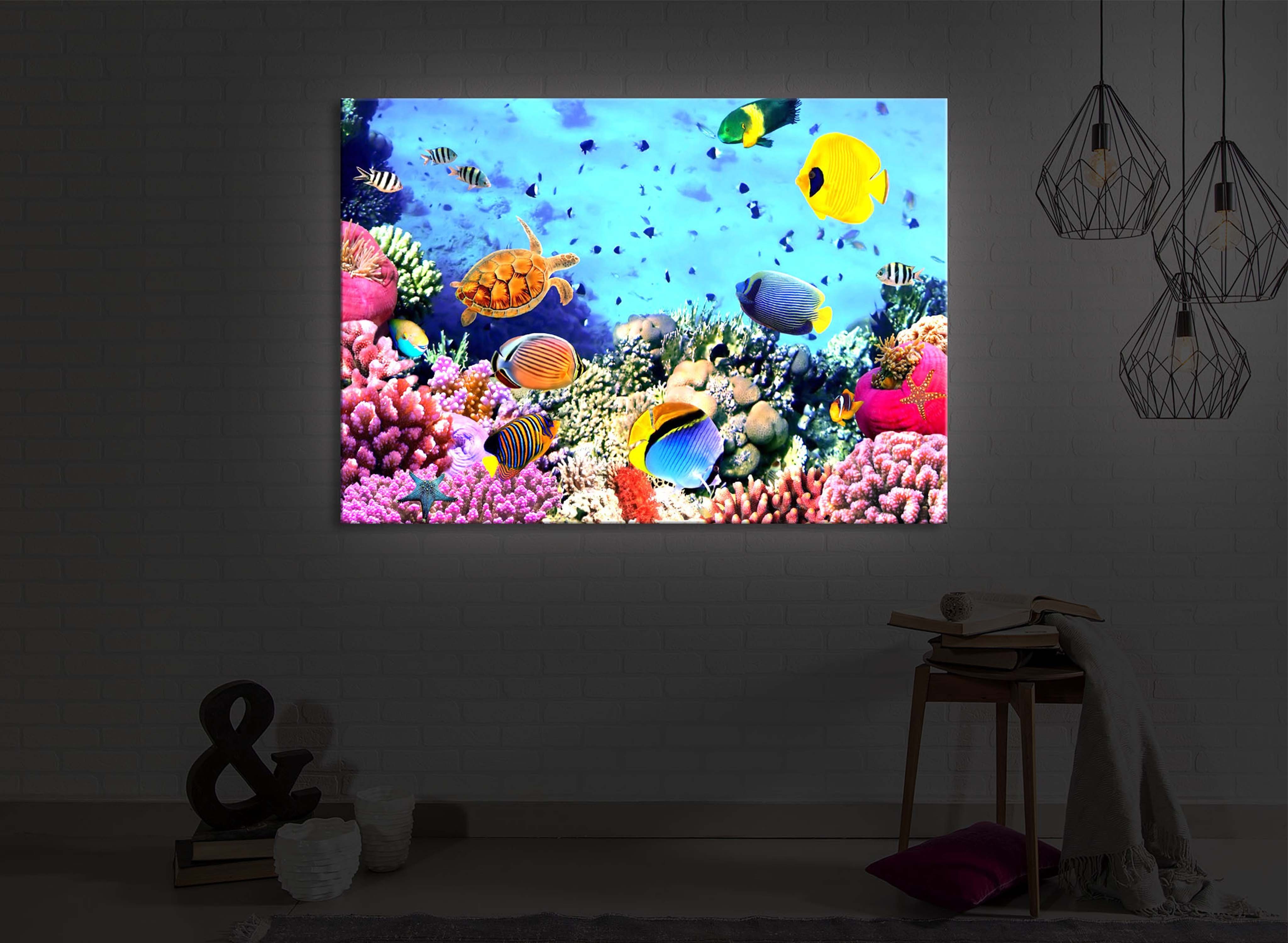 lightbox-multicolor LED-Bild über Fernbedienung lighted Korallenriff front 60x40cm, / mit Bunte Fische Leuchtbild