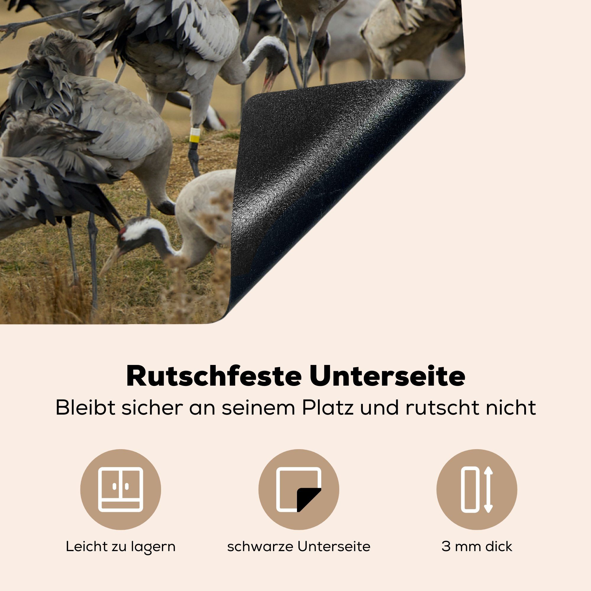 Herdblende-/Abdeckplatte einer die Ceranfeldabdeckung Vinyl, grünen europäische cm, Anmutige Induktionskochfeld für MuchoWow tlg), (1 Landschaft, in Schutz Kraniche 81x52 küche,