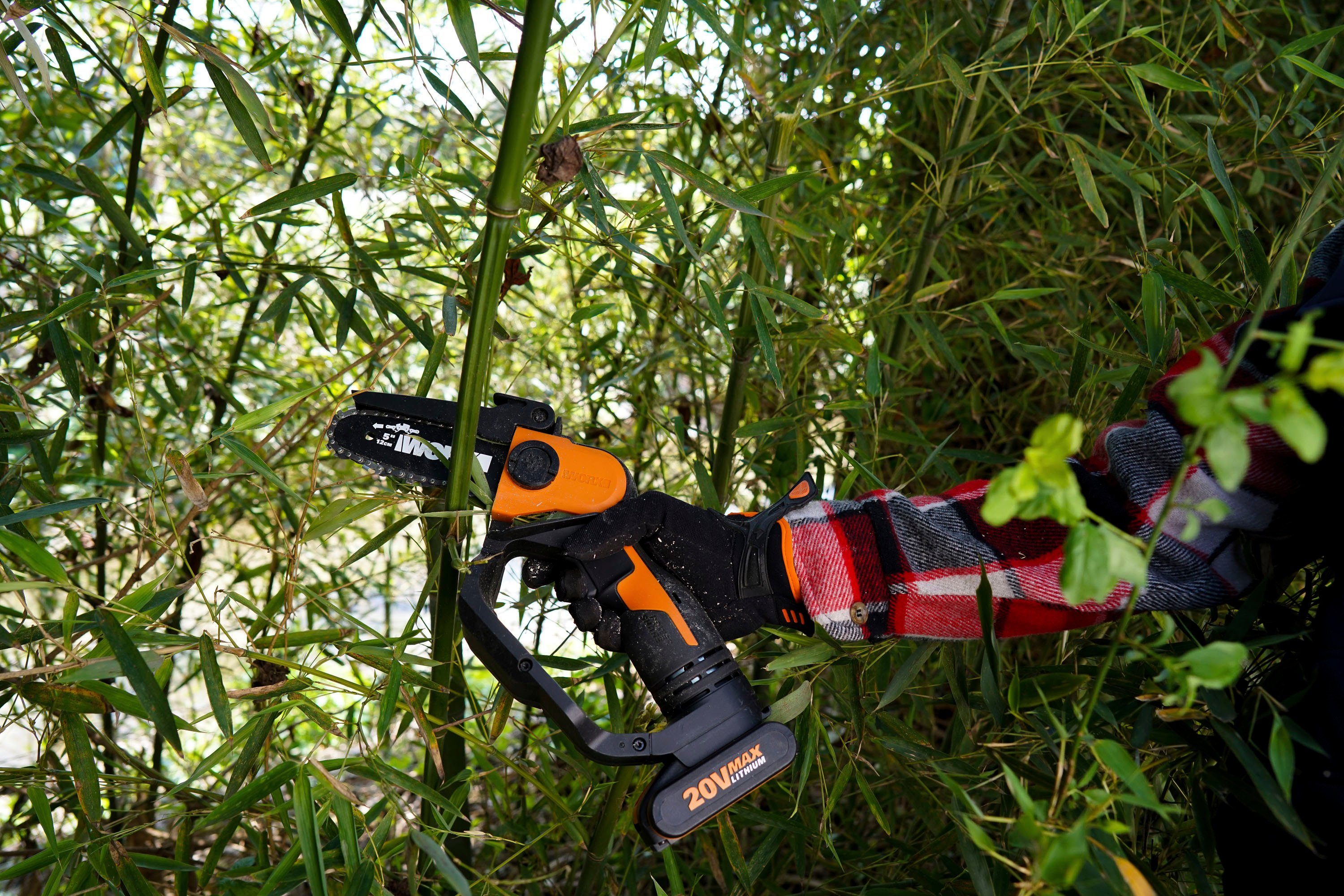 Worx Akku-Einhand Ast-Kettensäge WG324E 20 V günstig online kaufen