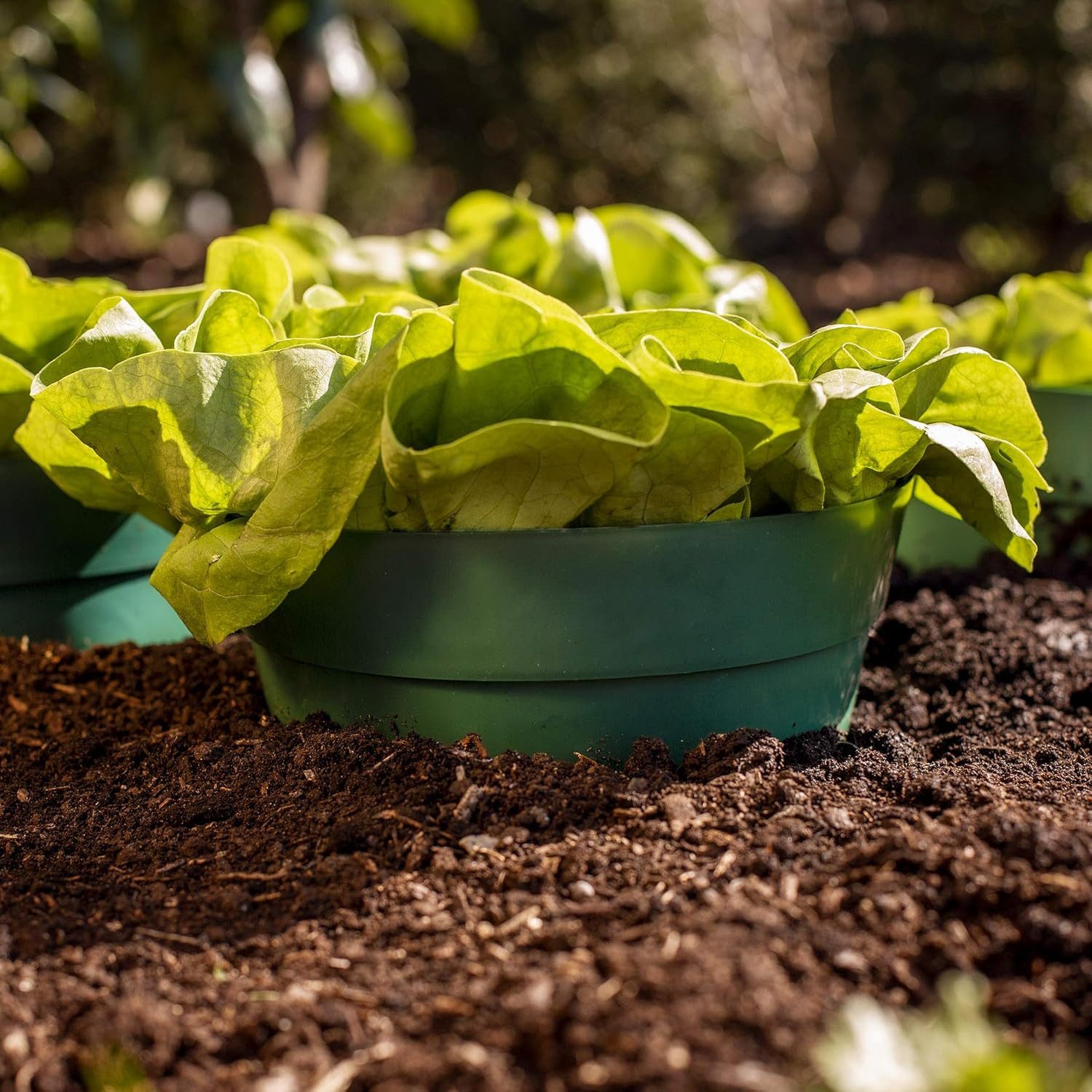 UPP Bewässerungssystem UPP Erd-Bewässerungsring 5-tlg, (1-tlg)