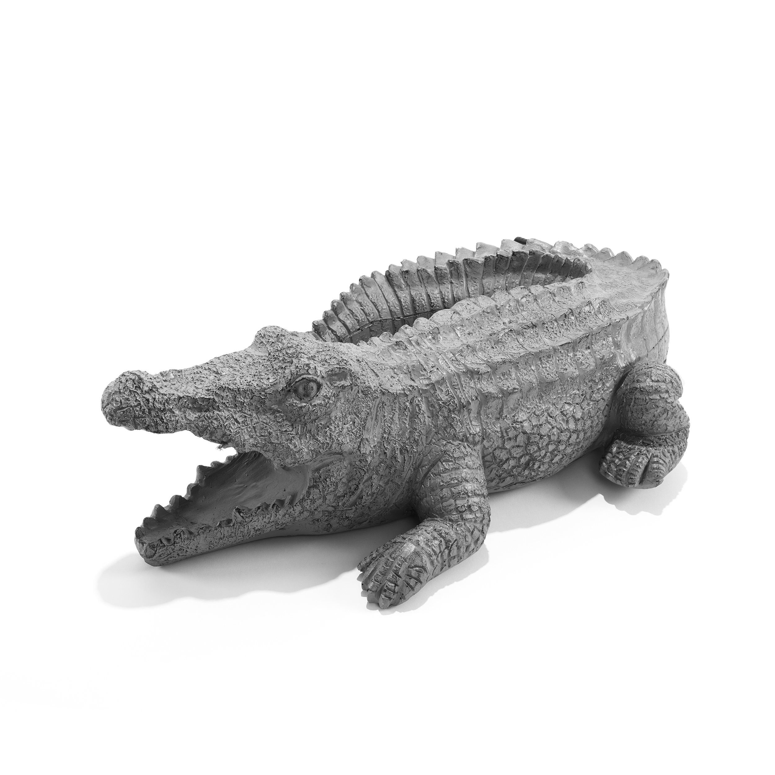esotec Wasserspeier Wasserspeier Krokodil