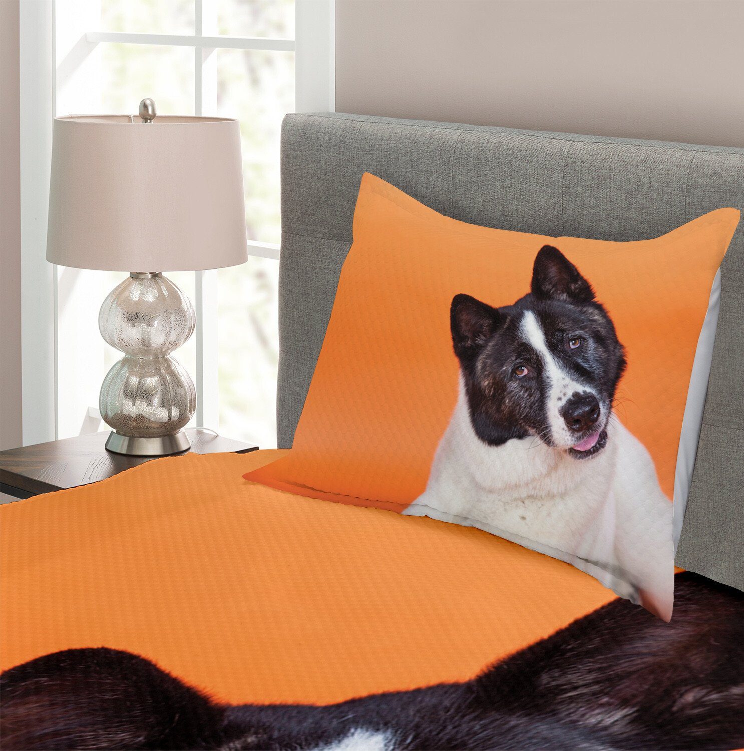 Akita Set mit Abakuhaus, und Orange Schwarz Tagesdecke Kissenbezügen on Orange Waschbar,