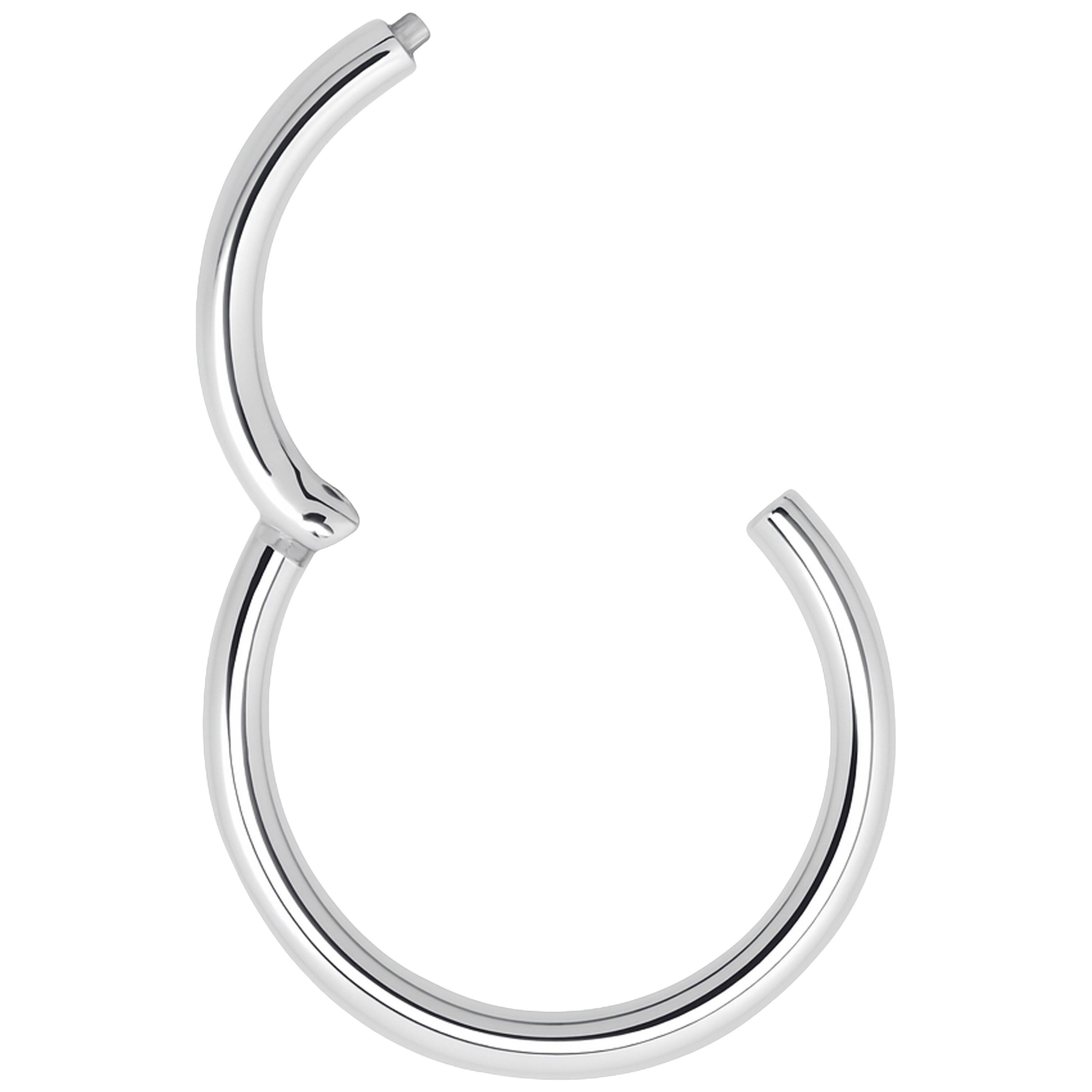 Wildcat Nasenpiercing Hinged Segmentring für Ohr, Lippe, Nase, Bauchnabel, 1 Stück, Chirurgenstahl 316L - wasserfest, hautverträglich, Silber