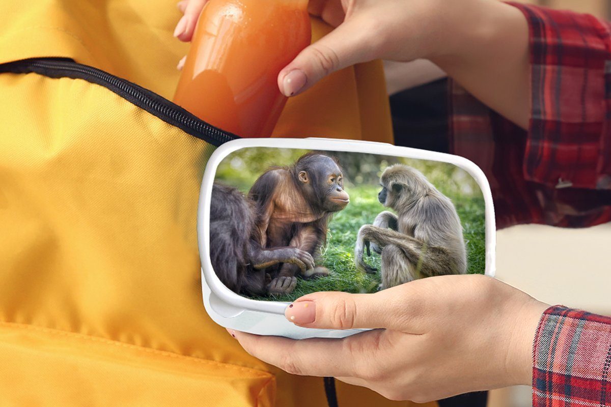 MuchoWow Lunchbox Affen Tiere und für Kunststoff, - Mädchen Brotbox Erwachsene, für Jungs und Brotdose, weiß Kinder Familie, (2-tlg), 