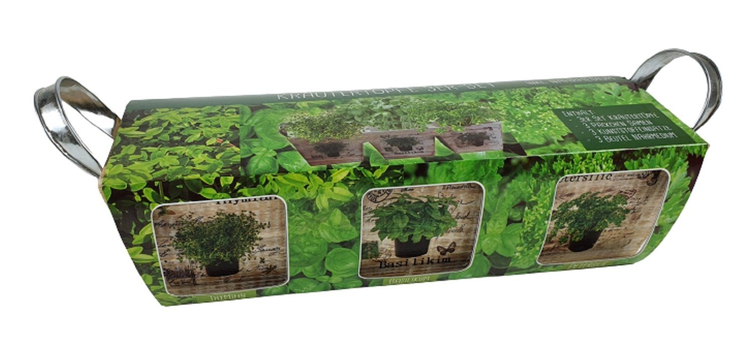 sesua Kräutertopf Starterset Kräutertöpfe Set Holz günstig online kaufen