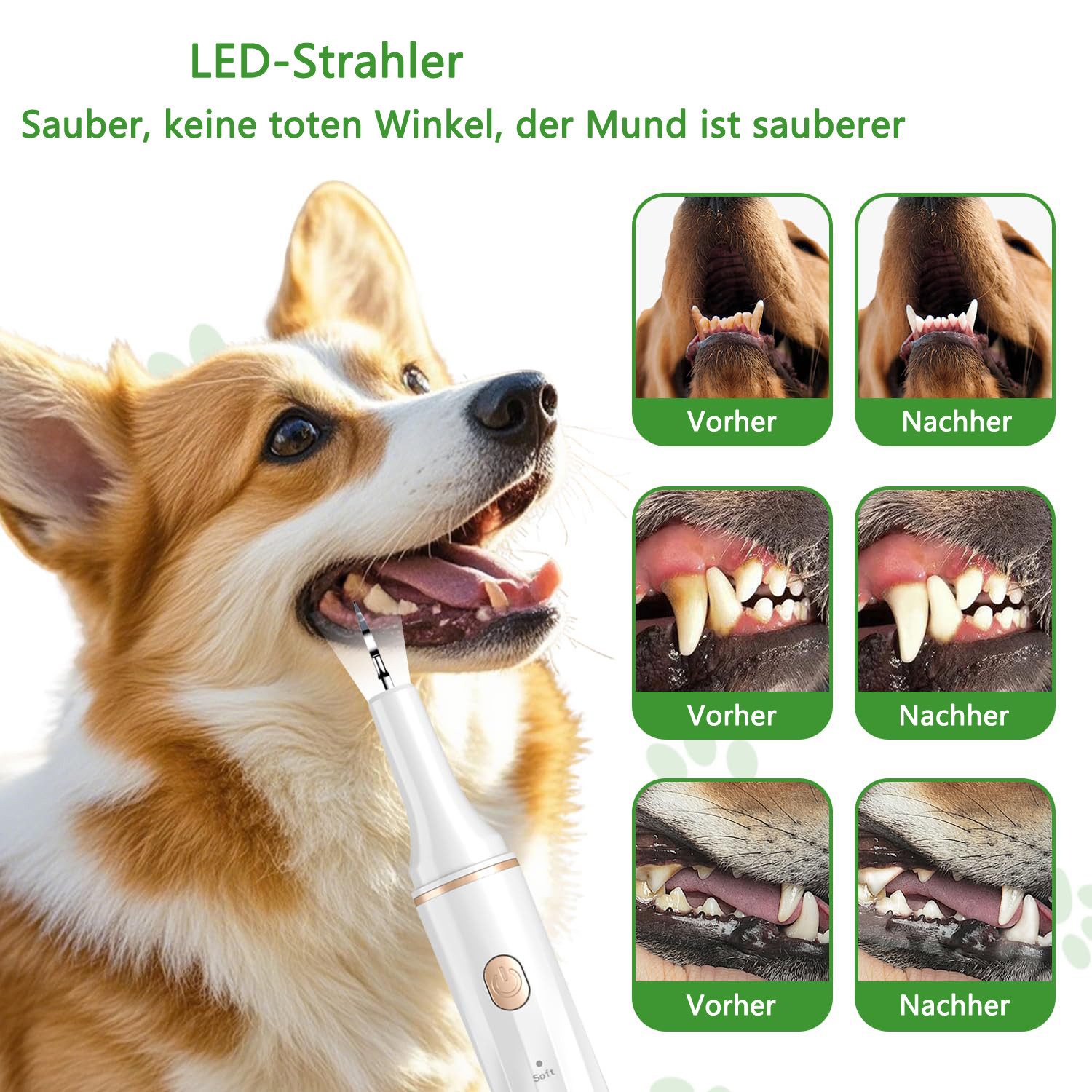 Coonoor Zahnpflege-Set Zahnreiniger Ultraschall für Hund und Katze, Zahnpflege Set, Zahnreiniger für Haustiere, 5 Reinigungsmodi