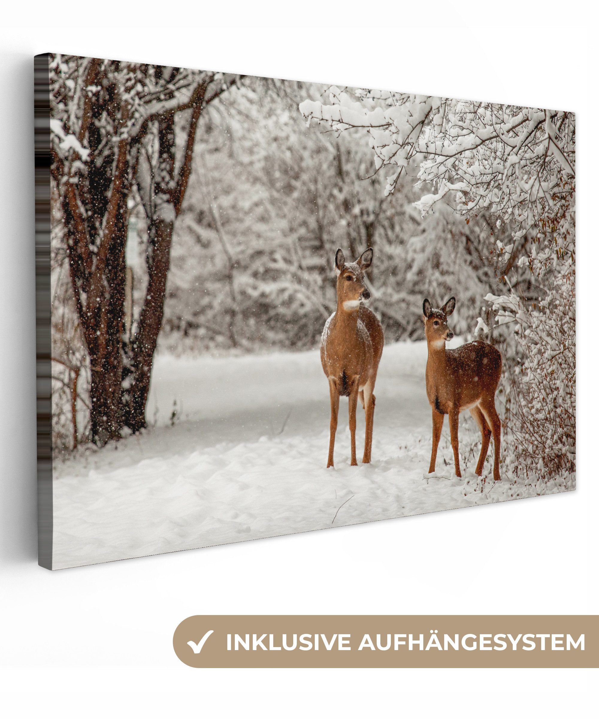 OneMillionCanvasses® Leinwandbild Hirsche - Schnee - günstig online kaufen