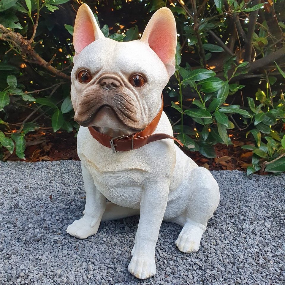 Aspinaworld Gartenfigur Französische Bulldogge Figur sitzt 43 cm wetterfest
