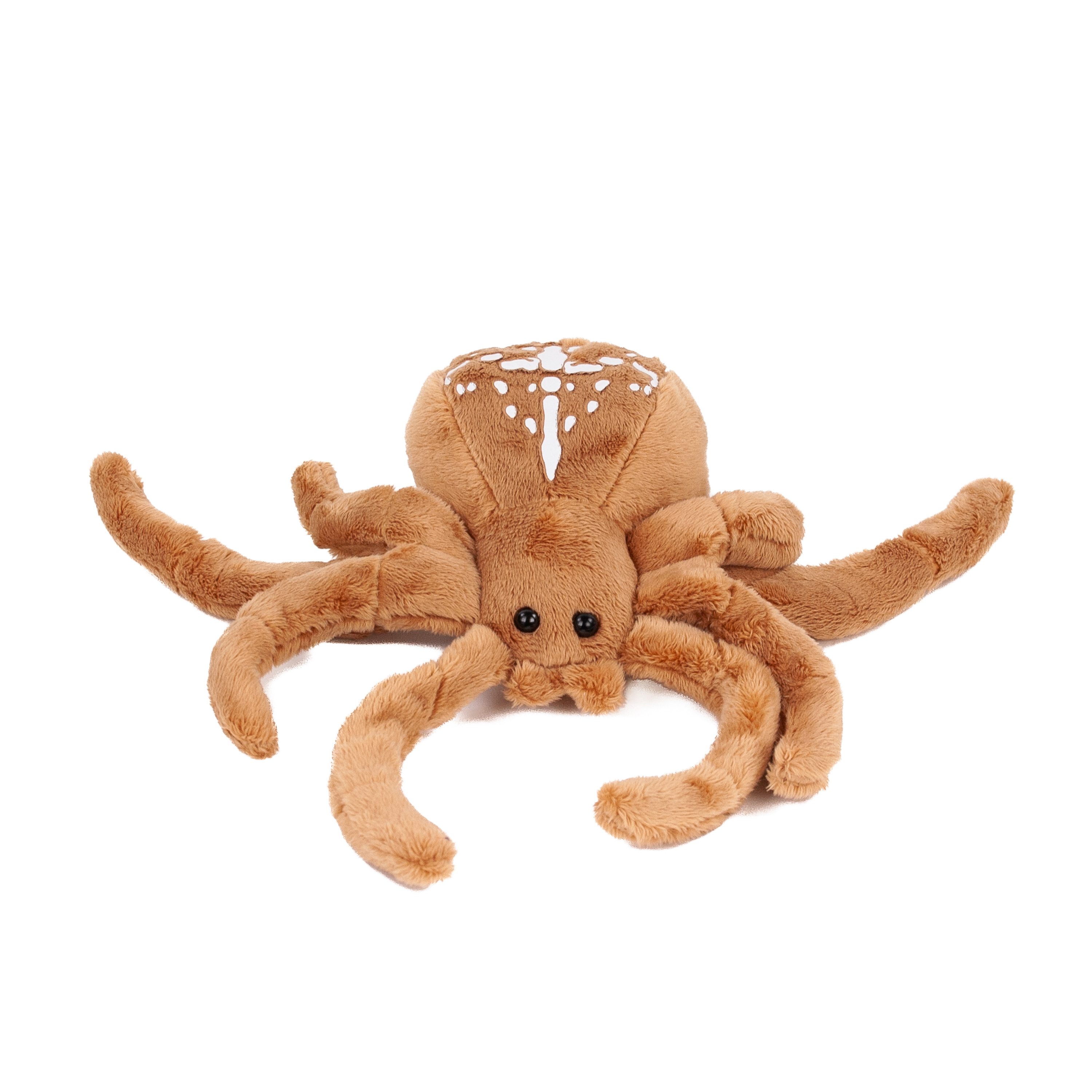 Teddys Rothenburg Kuscheltier Kuscheltier Kreuzspinne 24 cm braun/weiß Plüschspinne