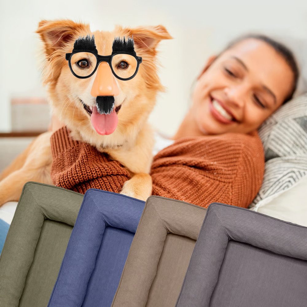 Lumaland Tierbett Hundebett Cord In-& Outdoor S 70x60x18cm grau vakuumiert, Hundesofa orthopädisch Hundekorb Tierbett waschbar hoher Rand