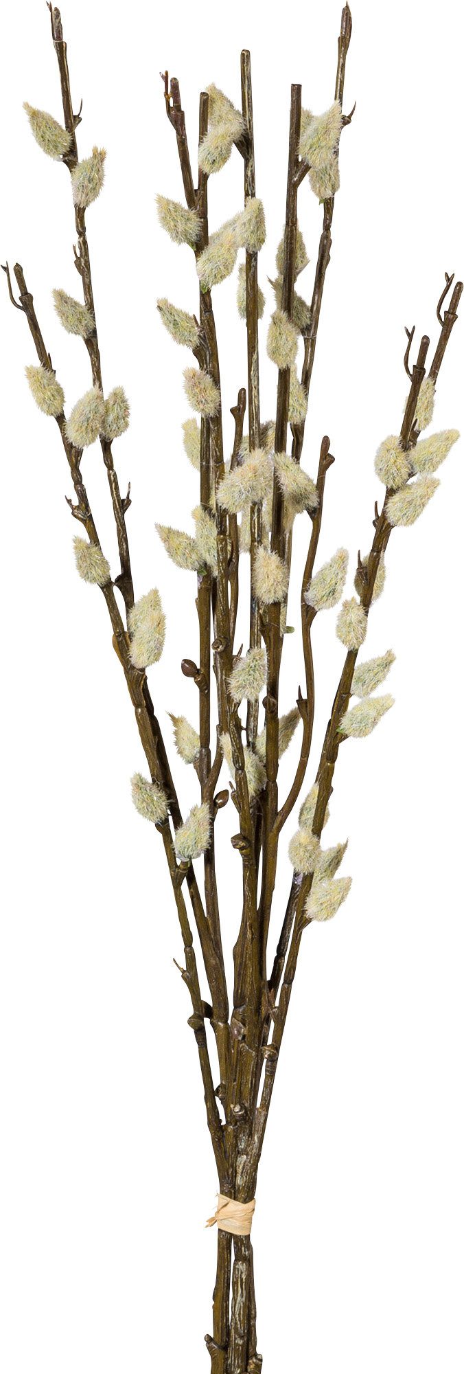 Kunstpflanze Kunstpflanze Weidekätzchenbund, Uni günstig online kaufen