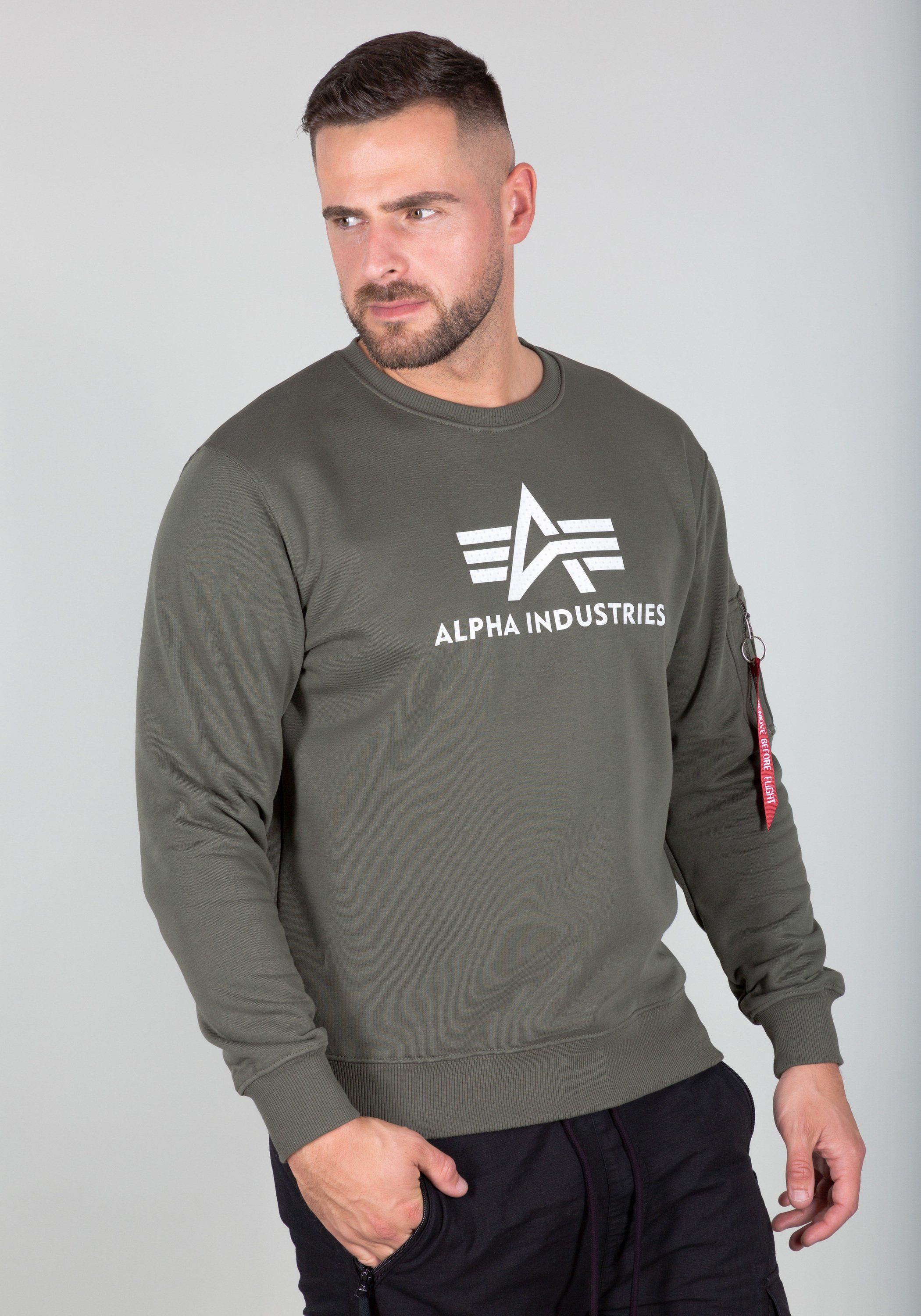 Alpha Pullover Herren