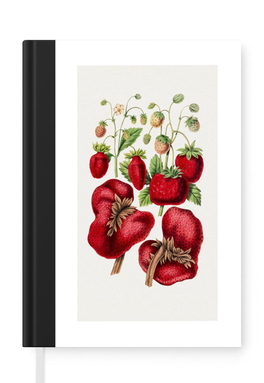 Tagebuch, Obst, Erdbeeren Merkzettel, - Notizbuch Seiten, A5, Journal, MuchoWow Haushaltsbuch - 98 Notizheft, Lebensmittel