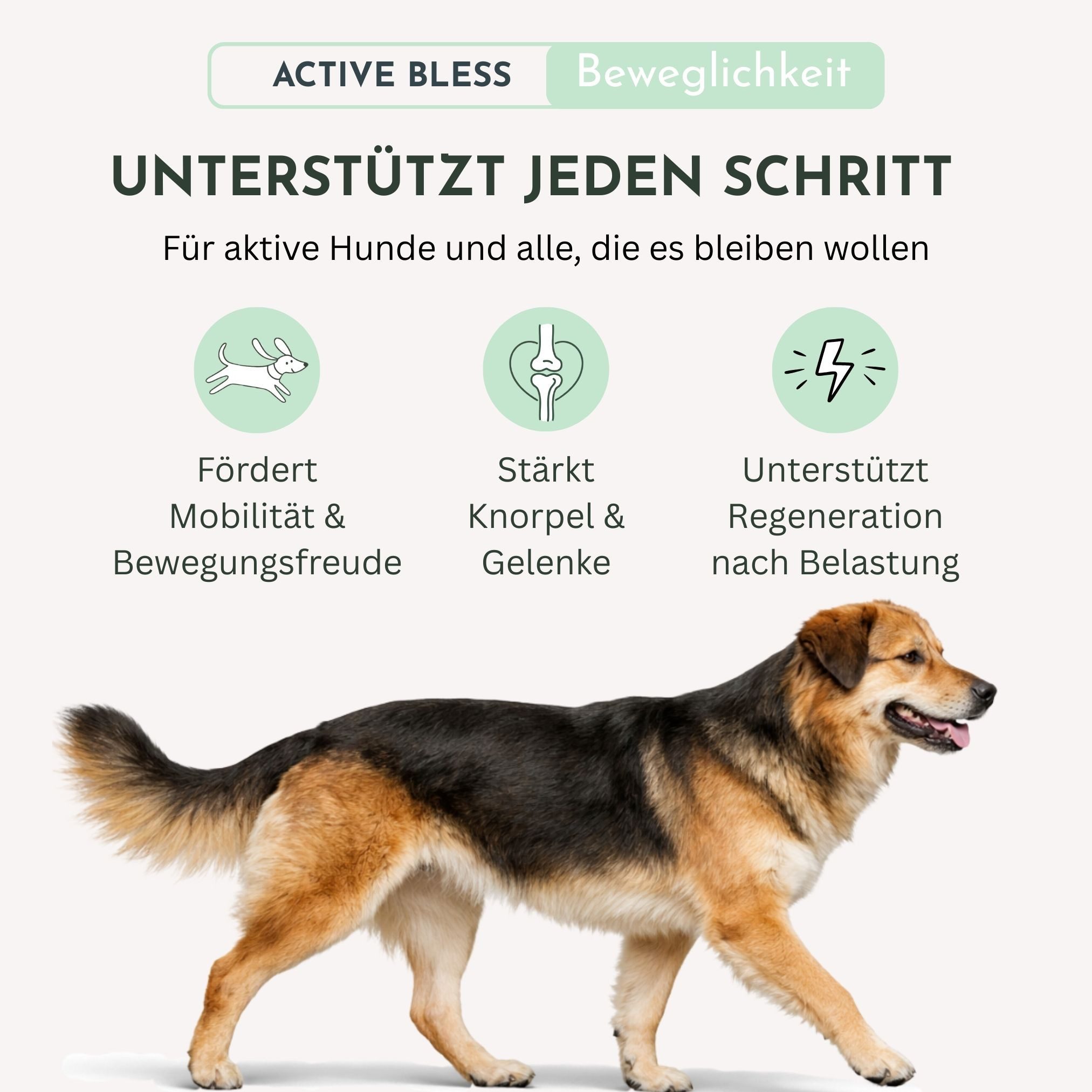Bless Gelenk-Snack für Hunde (Active Bless) – mit Kollagenpeptiden & MSM, Nahrungsergänzungsmittel für: Hunde, mit Insektenprotein (allergikerfreundlich)