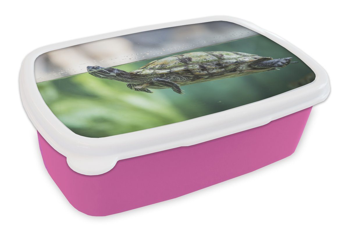 MuchoWow Lunchbox Nahaufnahme einer Schildkröte, Kunststoff, (2-tlg), Brotbox für Erwachsene, Brotdose Kinder, Snackbox, Mädchen, Kunststoff rosa