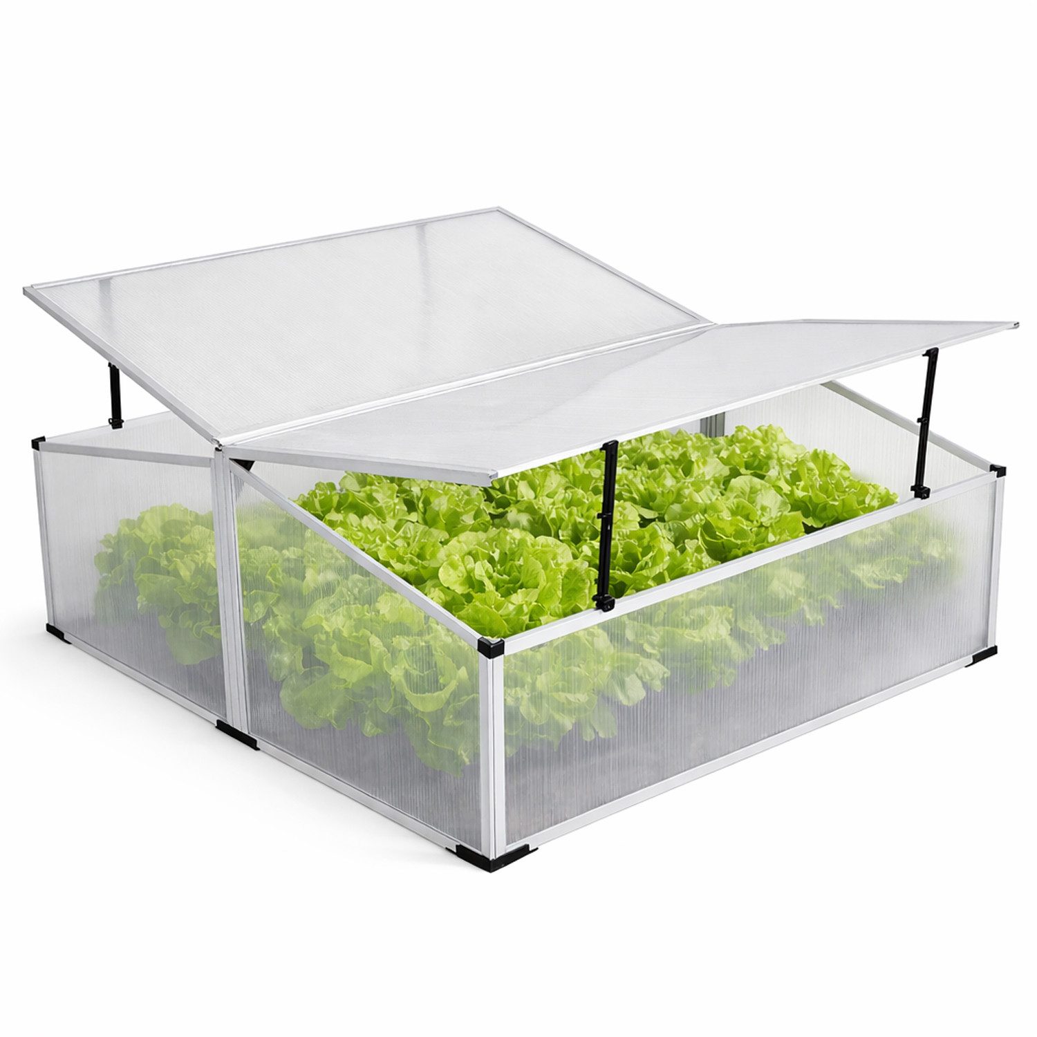 Mojawo Gewächshaus Frühbeet mit Doppeldach Gewächshaus Treibhaus Alu 120x100x40/30cm