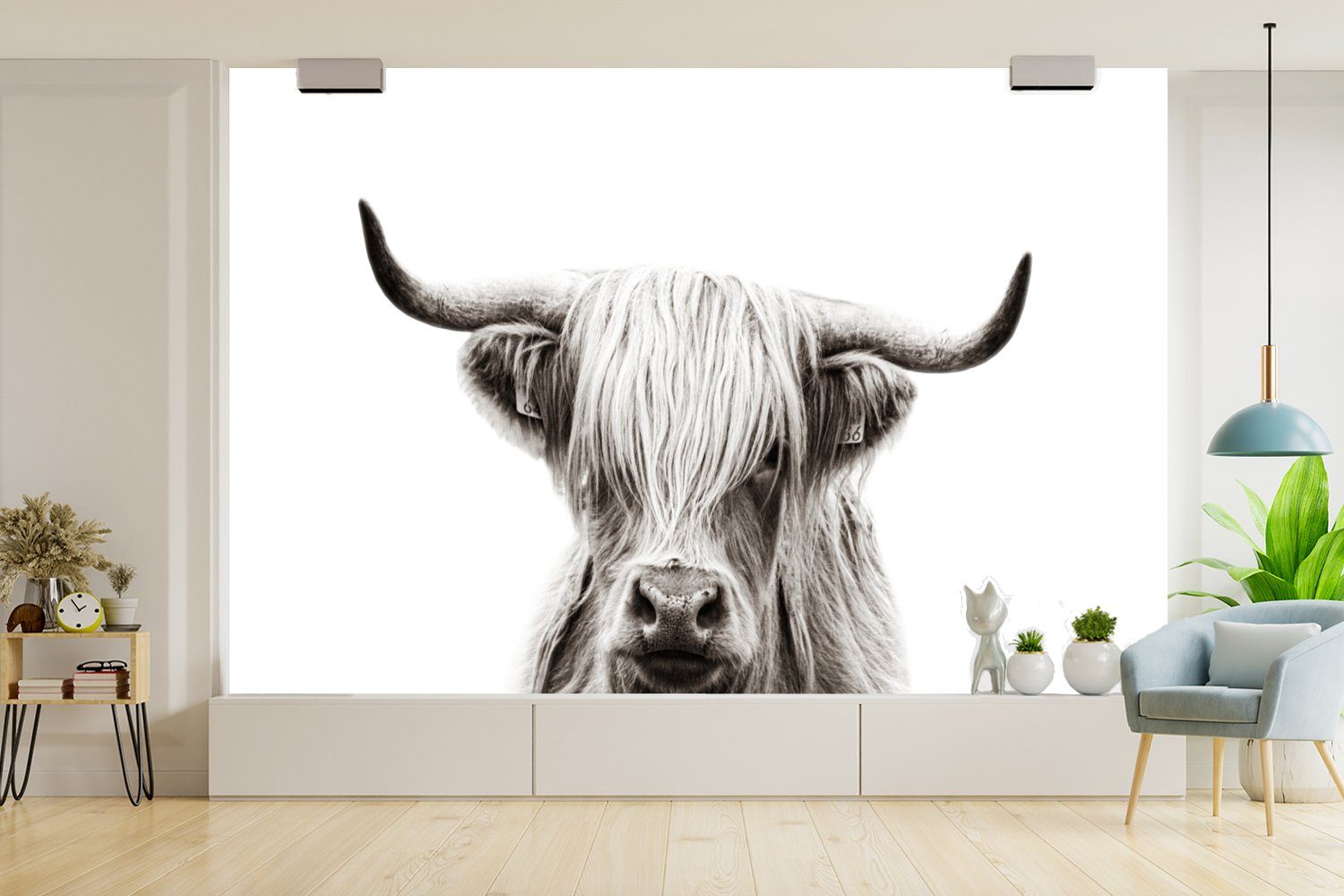 - Kuh MuchoWow - Wallpaper St), Highlander Vinyl (6 Weiß, - Matt, Schwarz Schlafzimmer, Kinderzimmer, Schottischer Tapete für Fototapete bedruckt, Wohnzimmer,