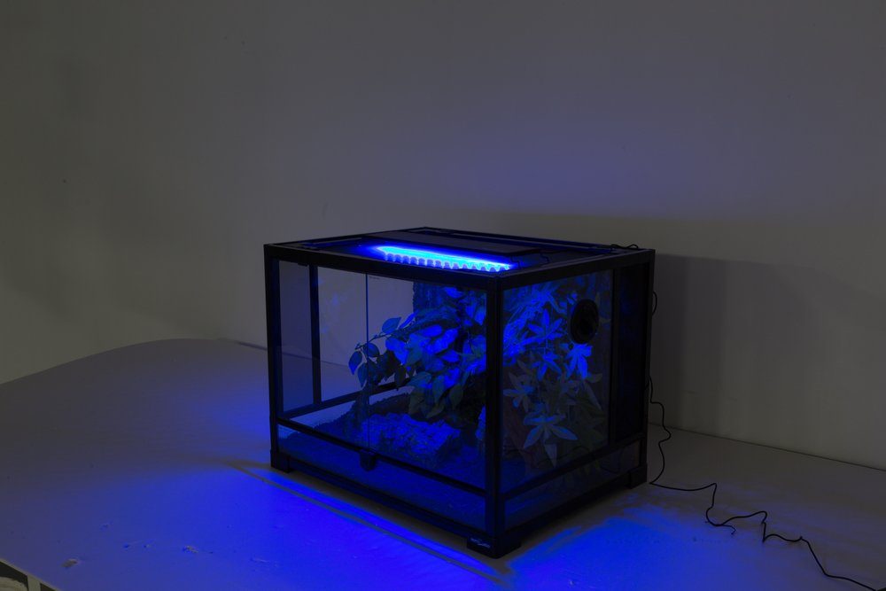 ReptiZoo Terrarienleuchte ReptiZoo LED Lichthaube 15 Watt (LED005)