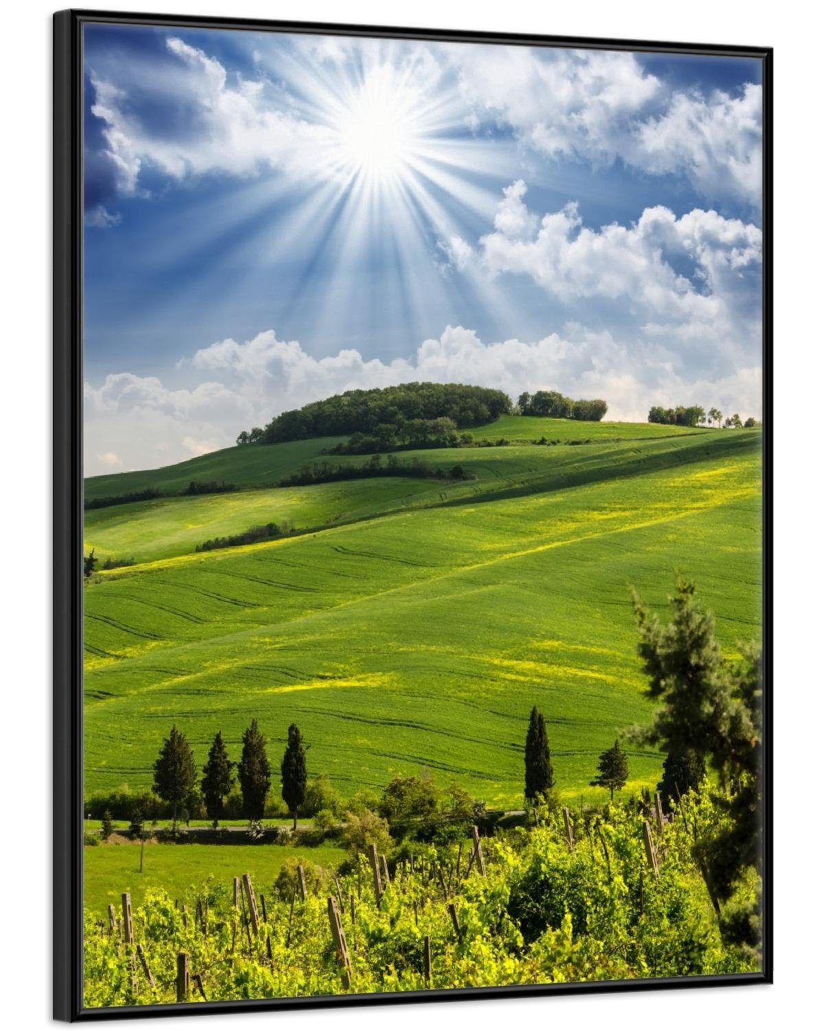 Wallario Poster, Strahlender Sonnenschein, in verschiedenen günstig online kaufen