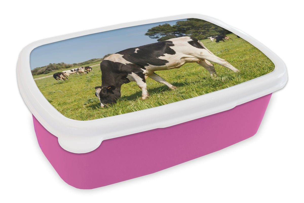 MuchoWow Lunchbox Kuh - Gras - Tiere - Wald, Kunststoff, (2-tlg), Brotbox für Erwachsene, Brotdose Kinder, Snackbox, Mädchen, Kunststoff rosa