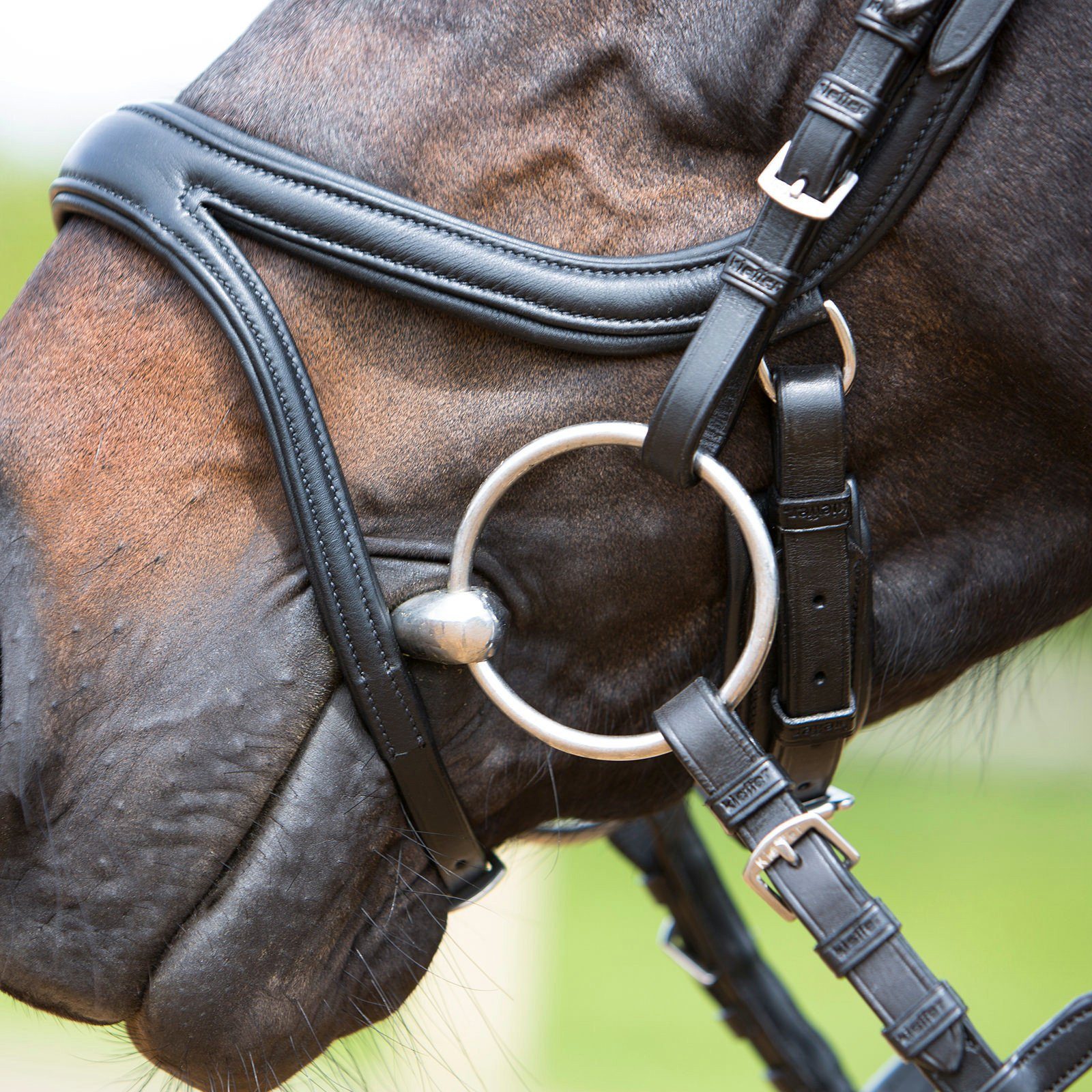 Kieffer Trensenzaum Trensenzaum Ultrasoft Tara schwarz - Warmblut