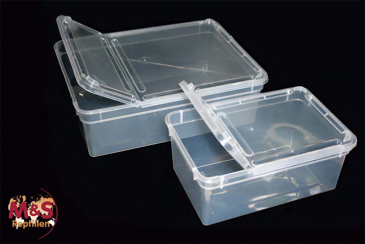 M&S Reptilien Terrarium Kunststoffbox transparent, klein (18x12x7,5 cm) Deckel transparent