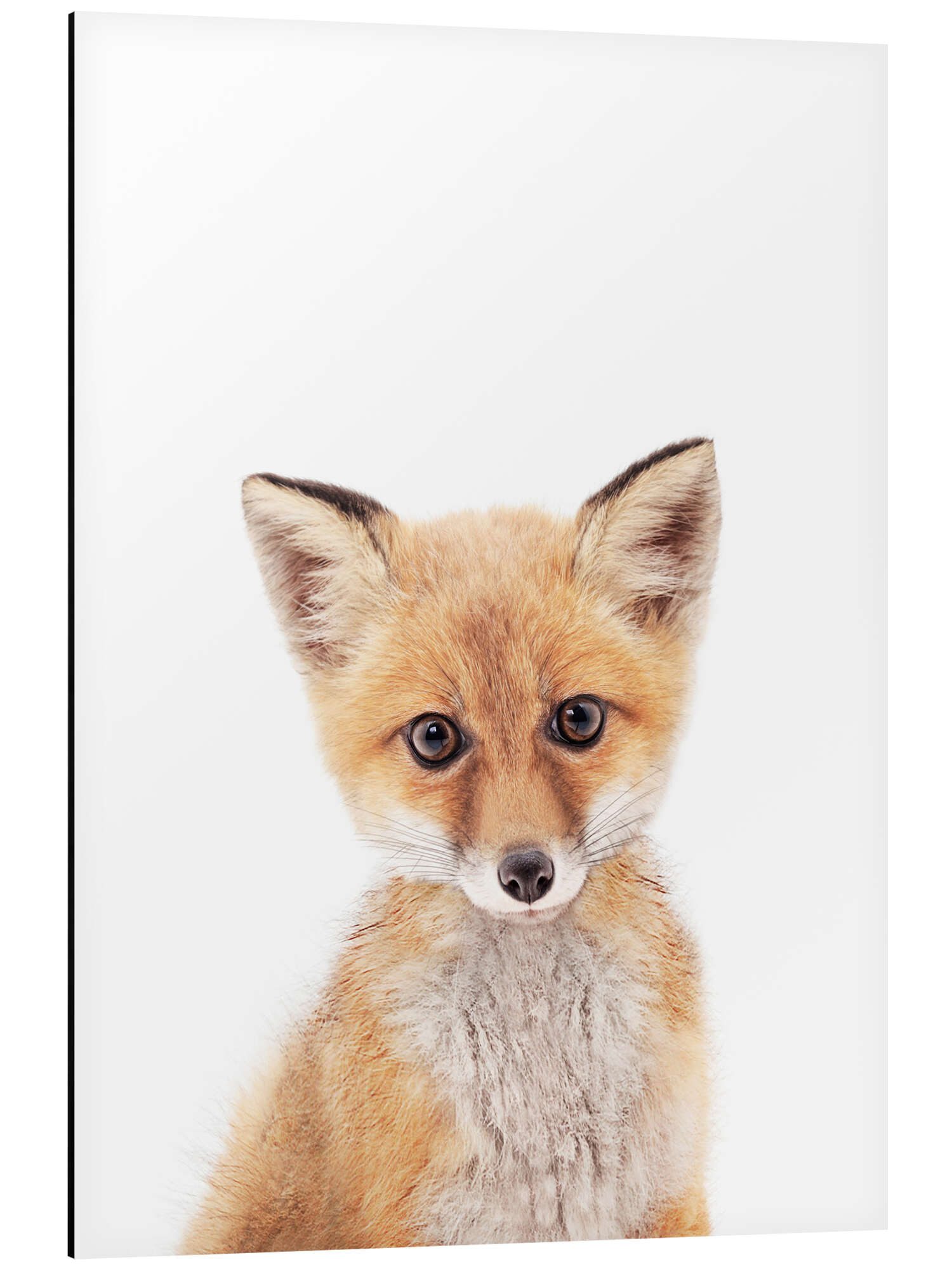 Posterlounge Wandbild Babyfuchs, Sisi And Seb, erhältlich als Poster, Leinwandbild, Wandsticker oder Acrylglasbild