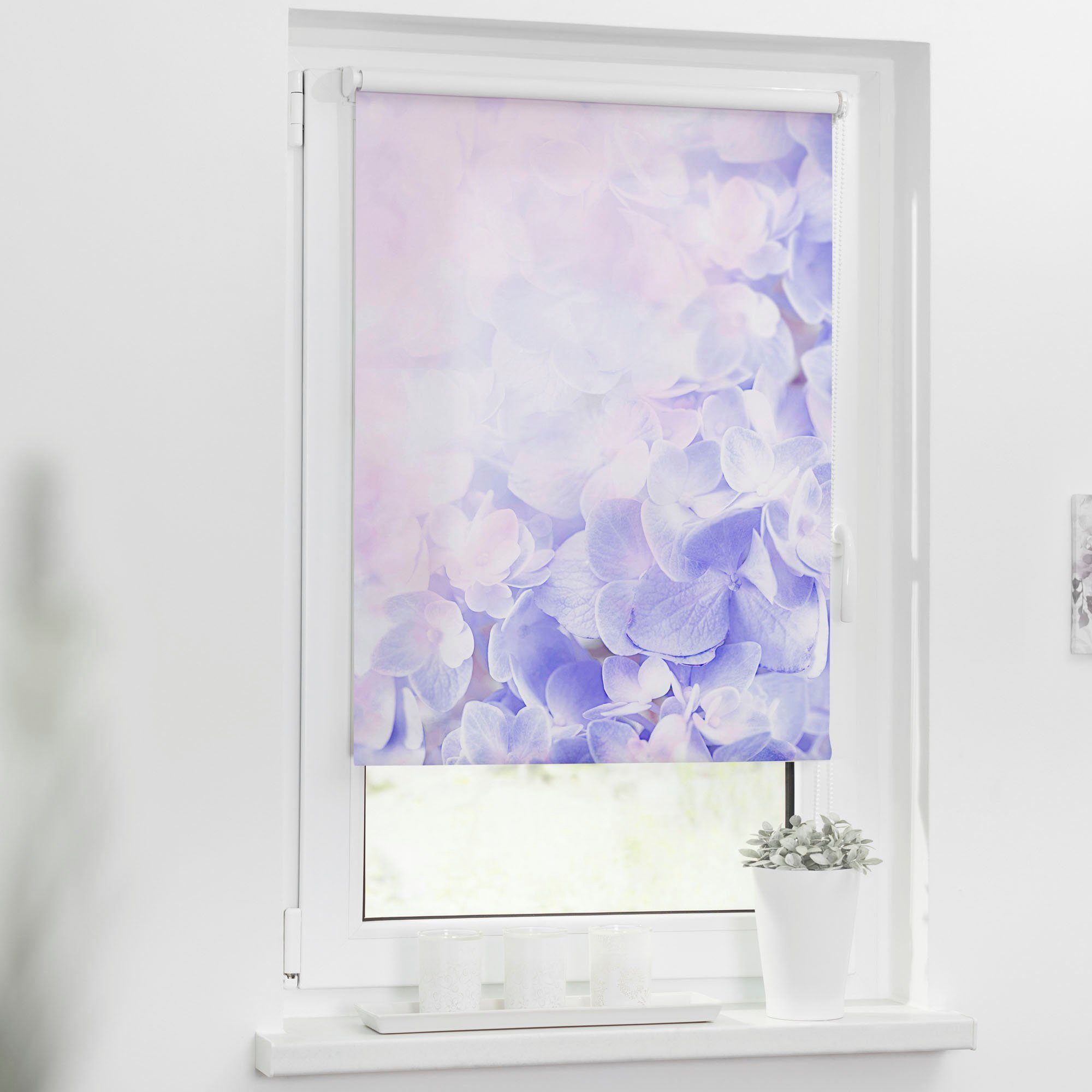 Seitenzugrollo Klemmfix Motiv Hortensie, LICHTBLICK ORIGINAL, günstig online kaufen