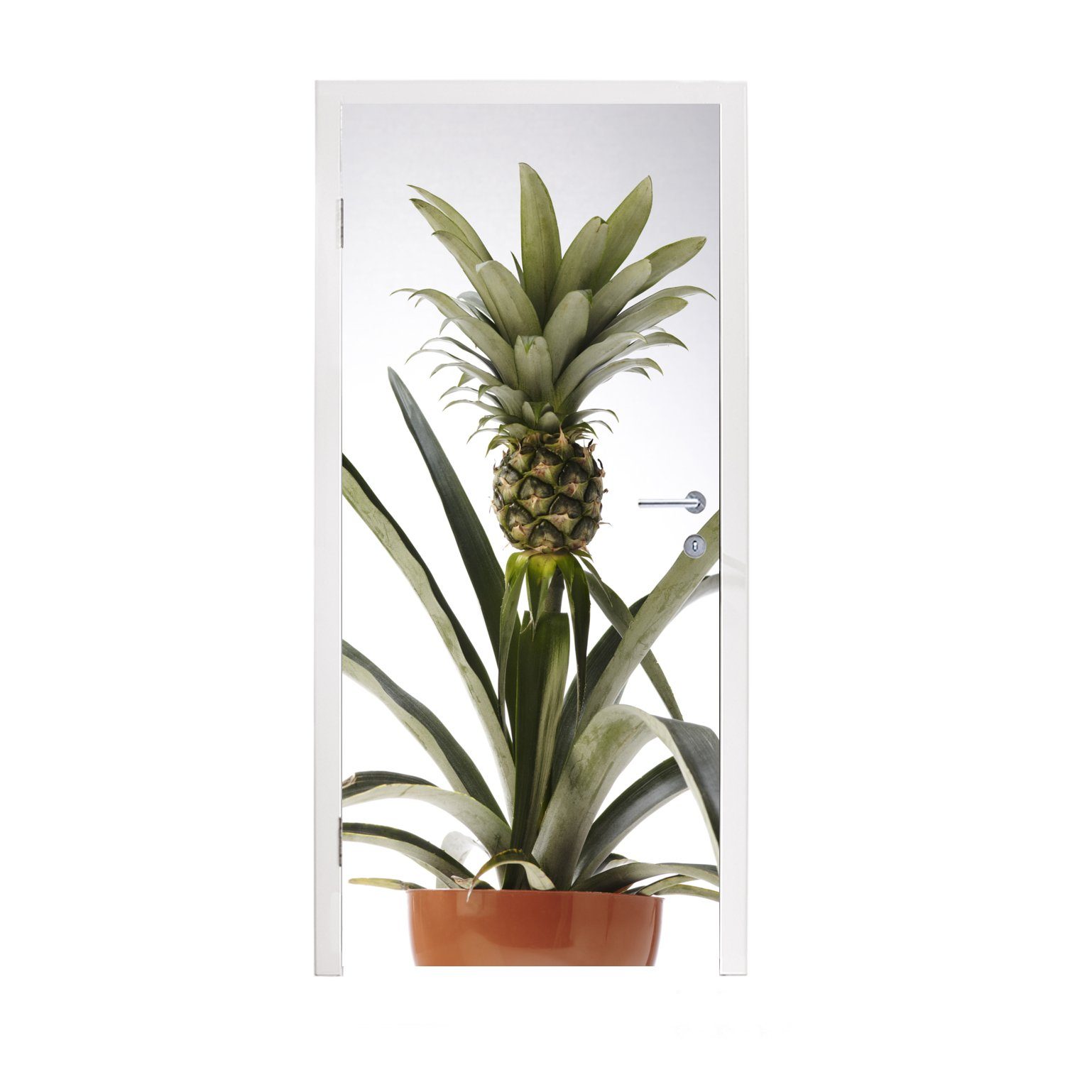 MuchoWow Türtapete Ananaspflanze - Topf - Licht, Matt, bedruckt, (1 St), Fototapete für Tür, Türaufkleber, 75x205 cm