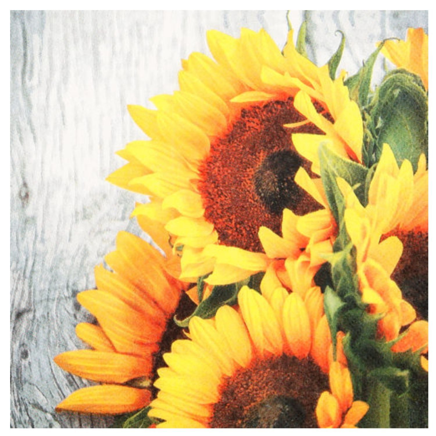 HOME FASHION Papierserviette, 3-lagig, Mehrfarbig, Sonnenblumen, H: cm