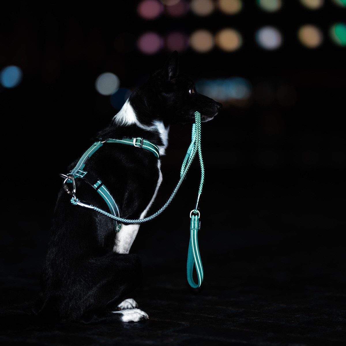 PAIKKA Hundeleine Hundeleine "Visibility Rope Leash" emerald