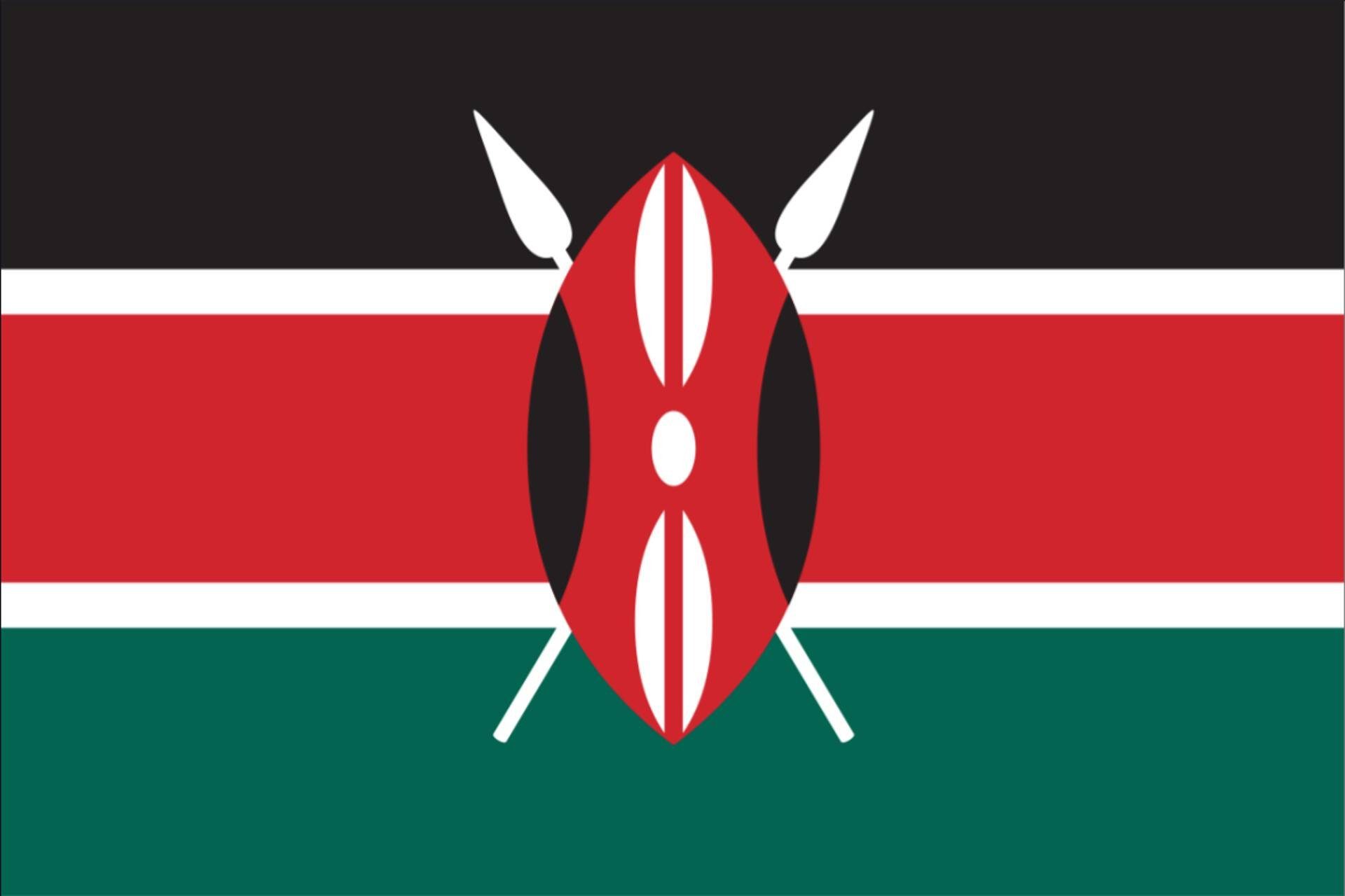 g/m² Querformat 110 Flagge Kenia flaggenmeer Flagge