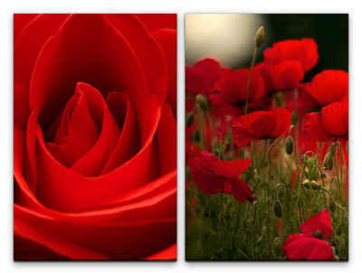 Sinus Art Leinwandbild 2 Bilder je 60x90cm Rose Mohnblumen Rot Liebe Romantisch Dekorativ Makrofotografie