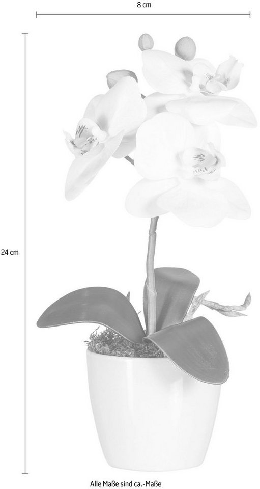 Kunstpflanze Phalaenopsis Orchidee, Creativ green, Höhe 24 cm, 3er-Set