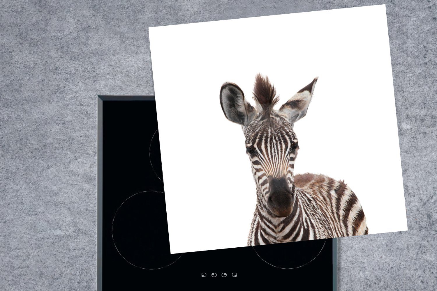 Kinder - Tiere Herdblende-/Abdeckplatte Zebra Ceranfeldabdeckung, küche - (1 MuchoWow tlg), Vinyl, 78x78 Porträt - - cm, Arbeitsplatte Wildtiere, für