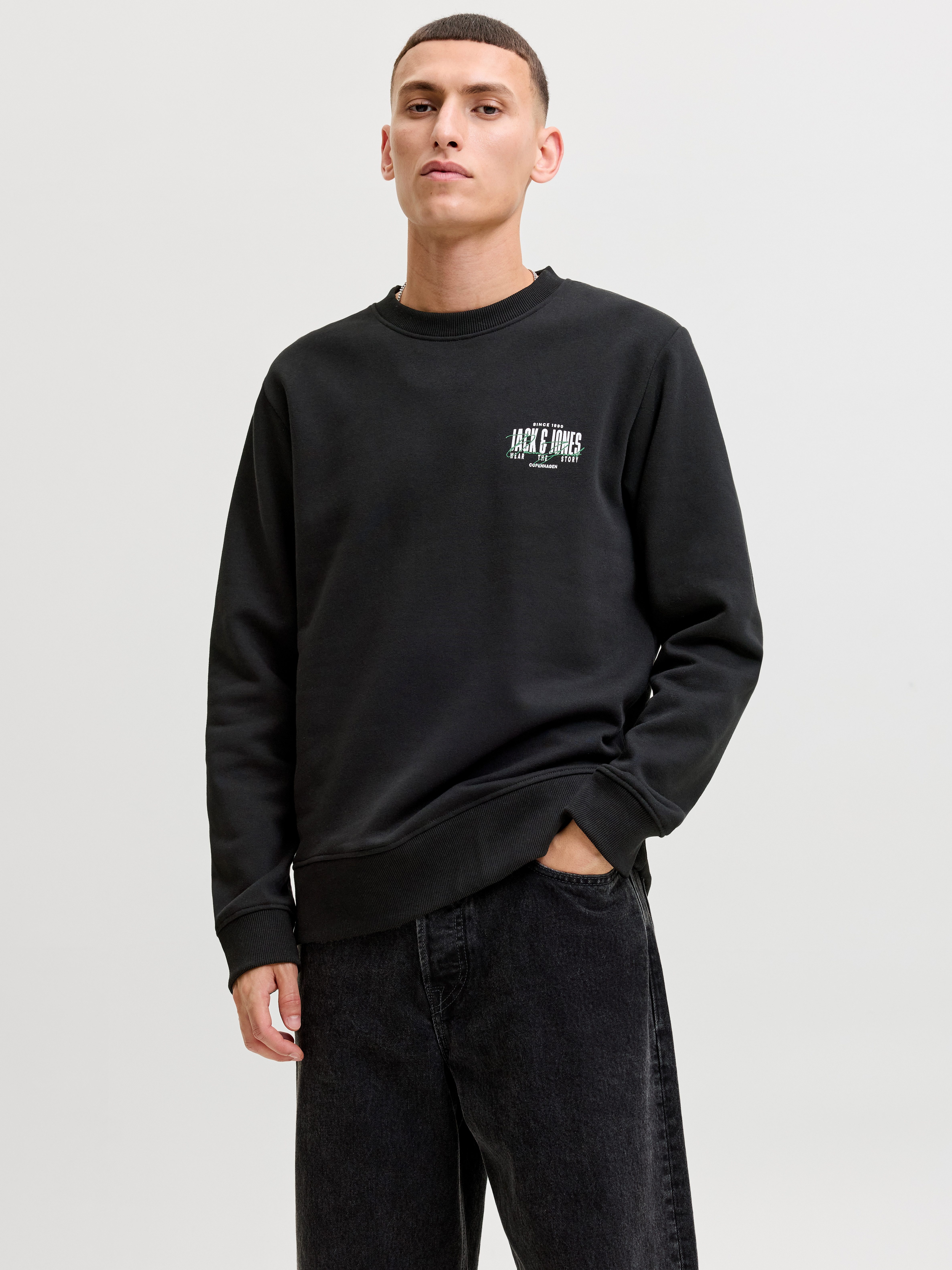Jack & Jones Sweatshirt JJAERO SWEAT CREW NECK Materialmix, regular fit