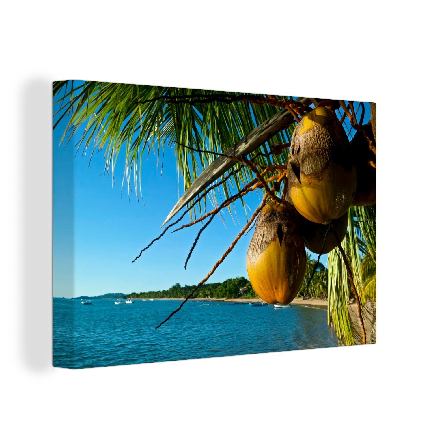 OneMillionCanvasses® Leinwandbild Tropische Szenen Leinwandbilder, (1 am 30x20 Kokosnusspalmen Strand, den in cm Aufhängefertig, Wanddeko, Wandbild St)